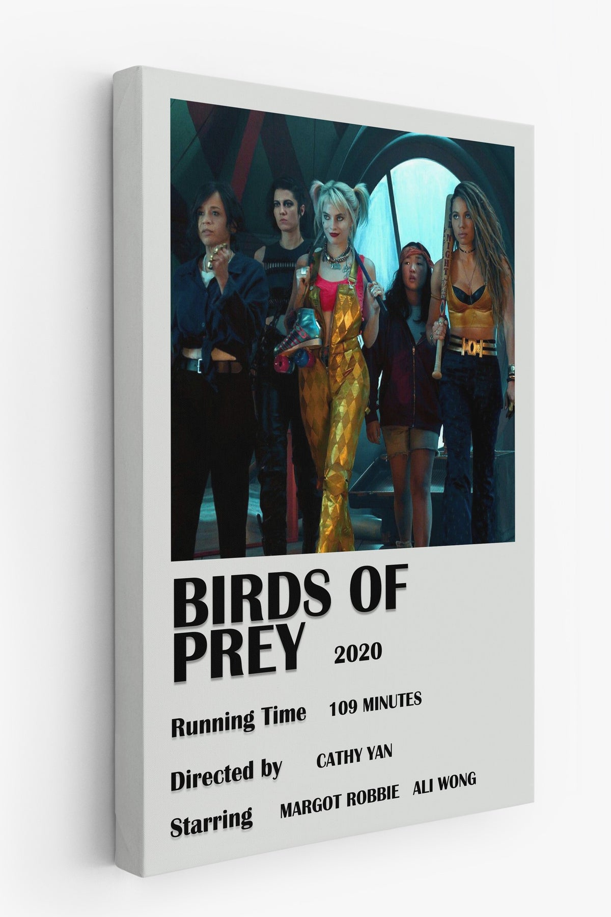 Birds of Prey Film Kanvas Tablo