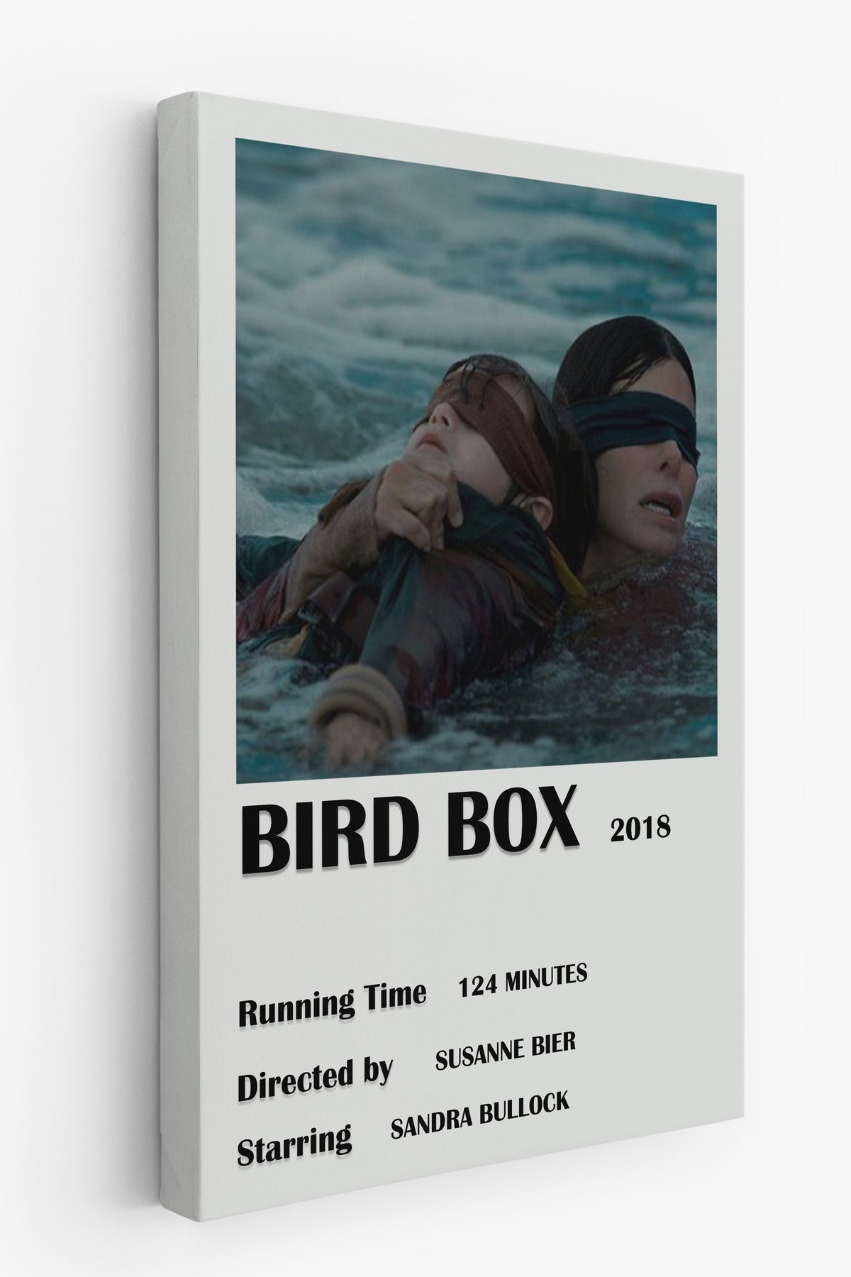 BIRD BOX Film Kanvas Tablo
