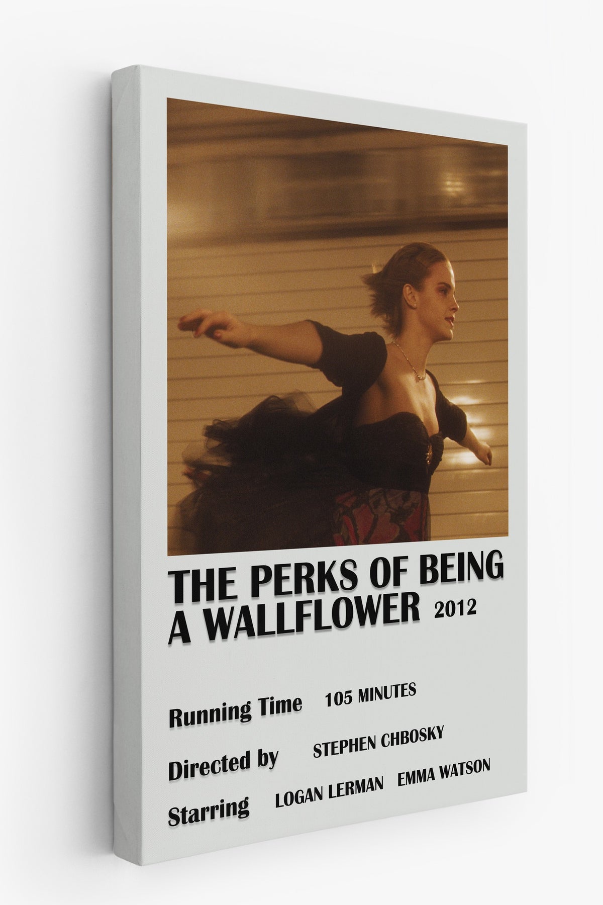 THE PERKS OF BEING A WALLFLOWER 2012 Film Kanvas Tablo