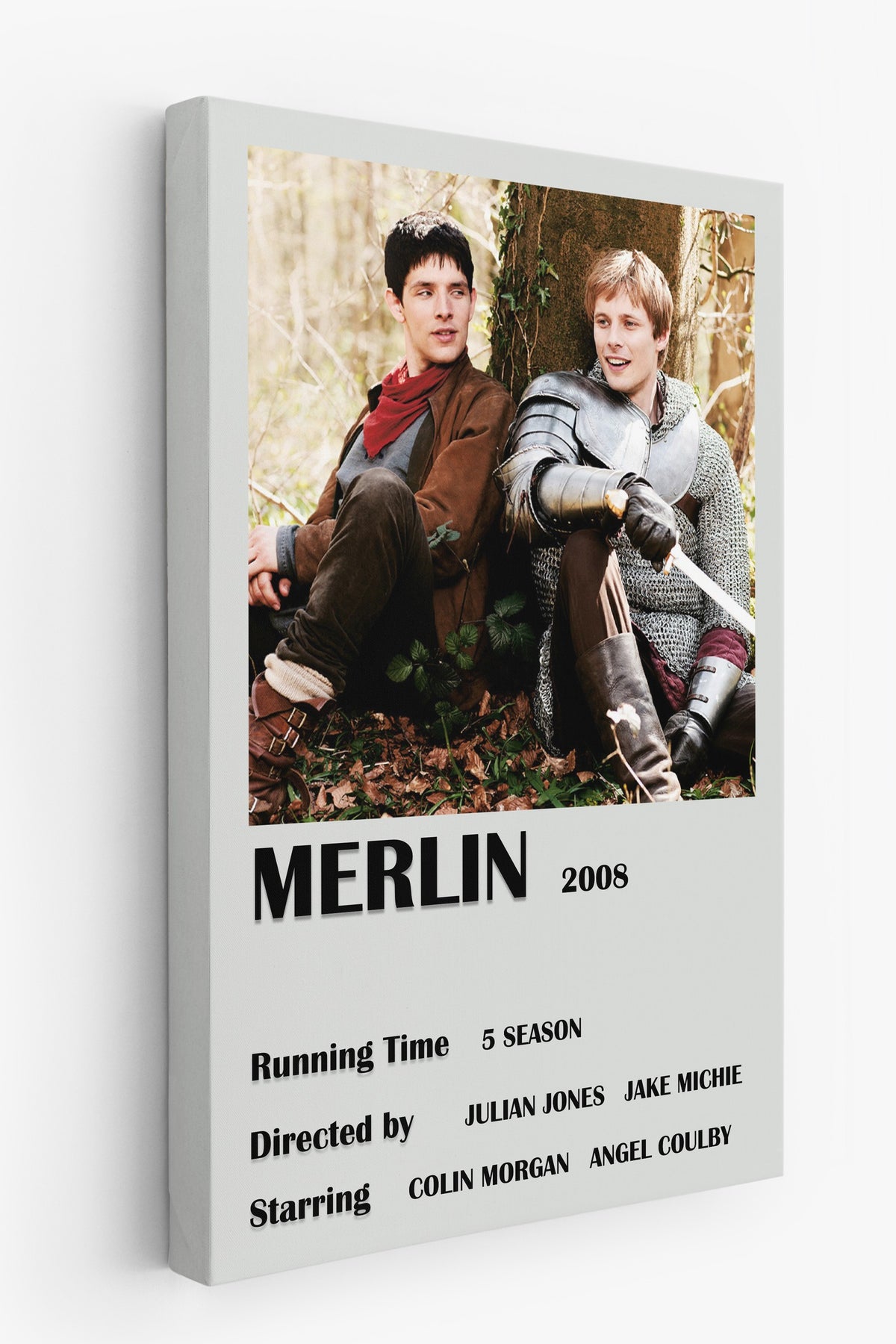MERLIN 2008 Film Kanvas Tablo