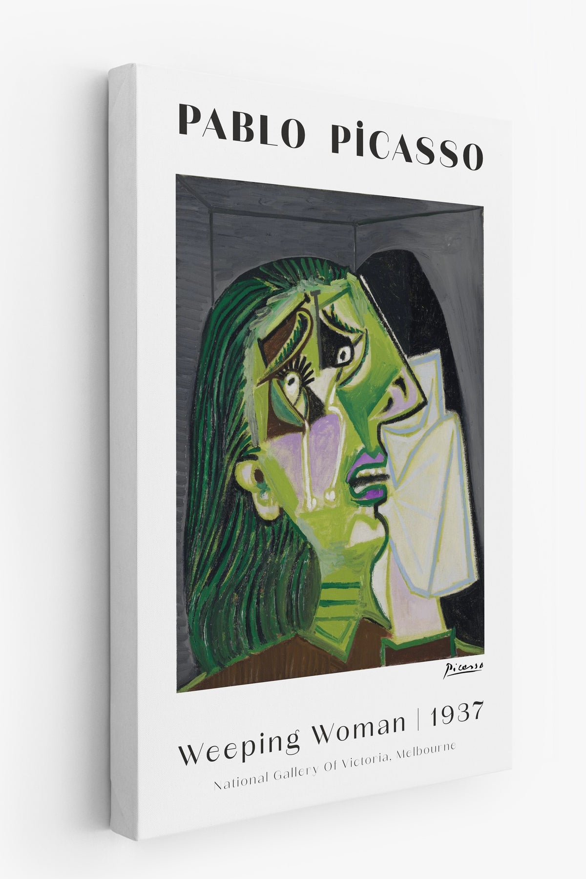 Pablo Picasso Duvar - Estetik Duvar Dekoru - Sanat Serisi - Kalın Kağıt Kanvas Tablo — NO:100926