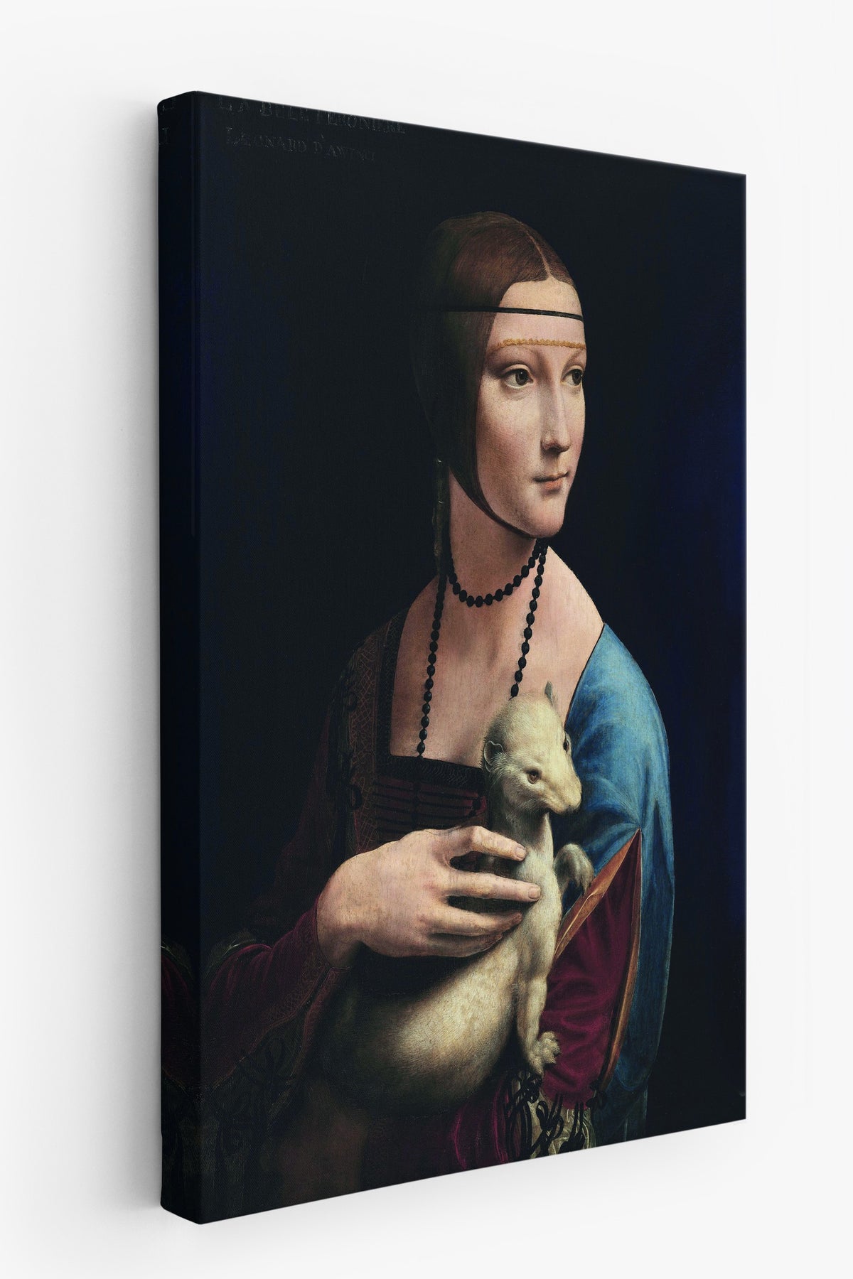 Leonardo Da Vinci No:5 Modern Sanat - Sanat Dekor Serisi - Duvar Tablosu, HD Baskı Kanvas Tablo