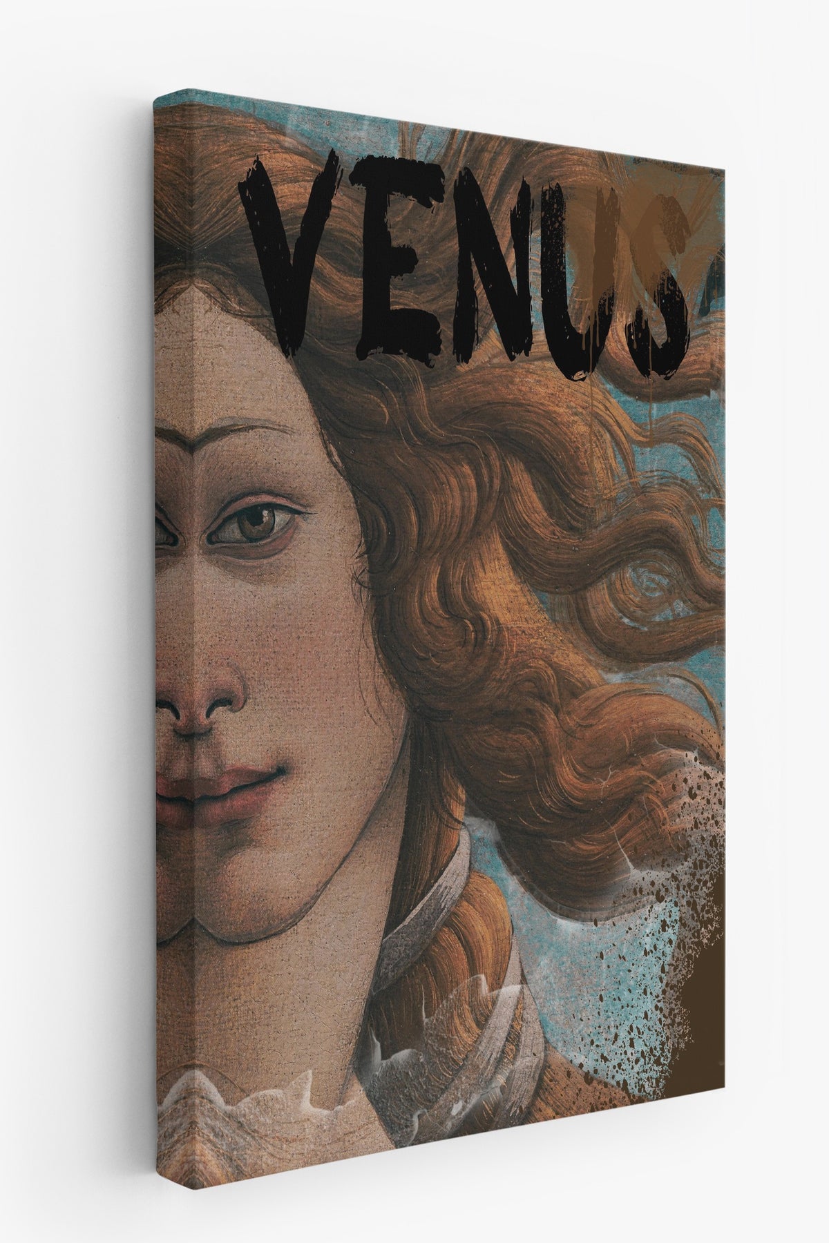 VENUS Alternatif Sanat Kanvas Tablo