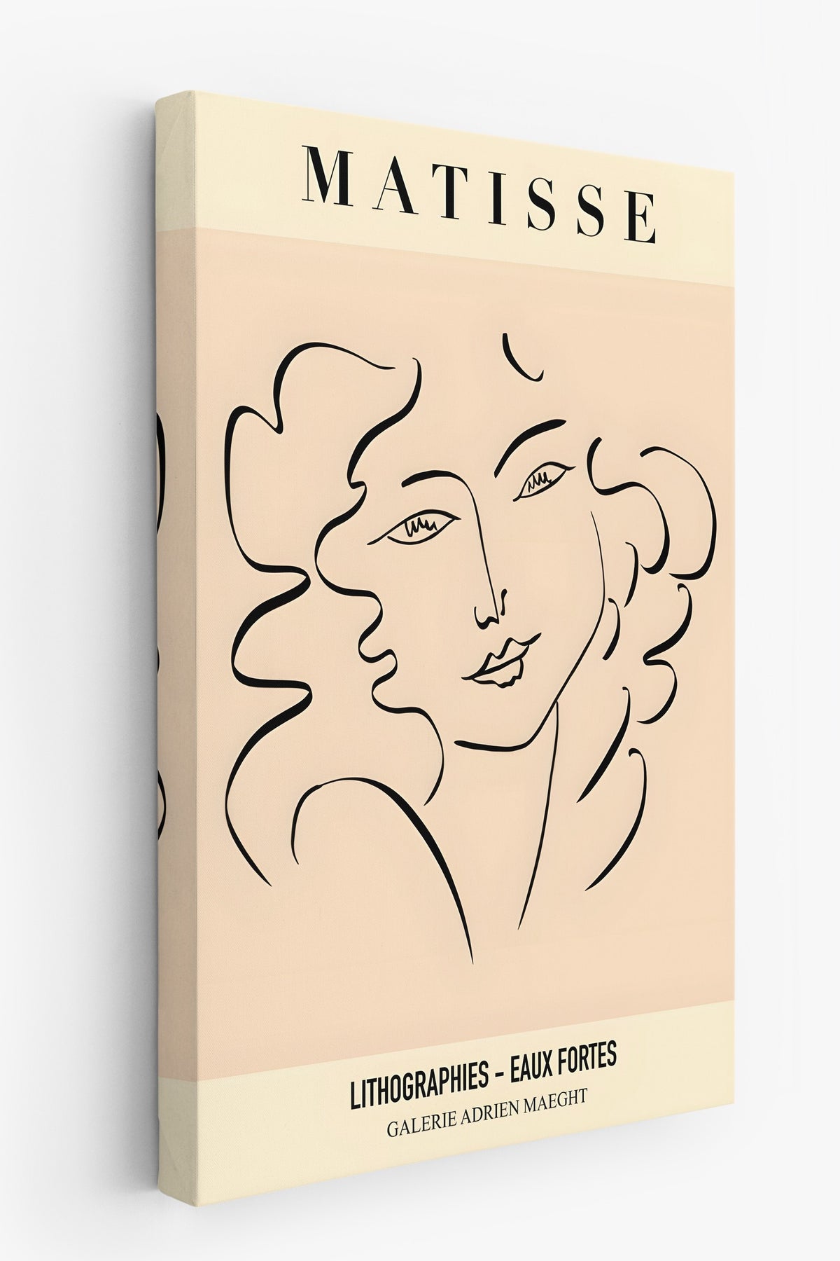 Farklı Tonlarda Matisse İllüstrasyon Kanvas Tablo — NO:105435