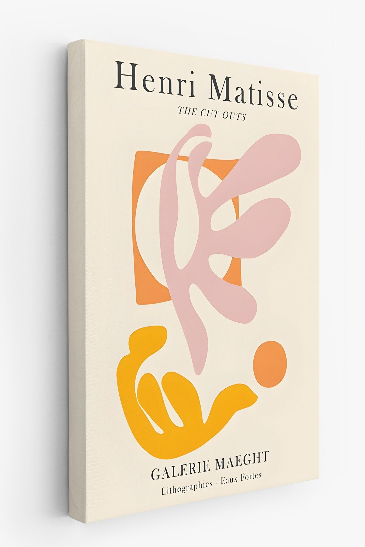 Farklı Tonlarda Henri Matisse İllüstrasyon Kanvas Tablo