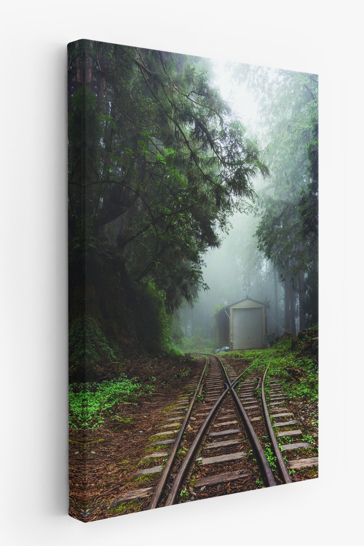 Sisli Ormanda Tren Yolu Doğa Fotoğraf Kanvas Tablo
