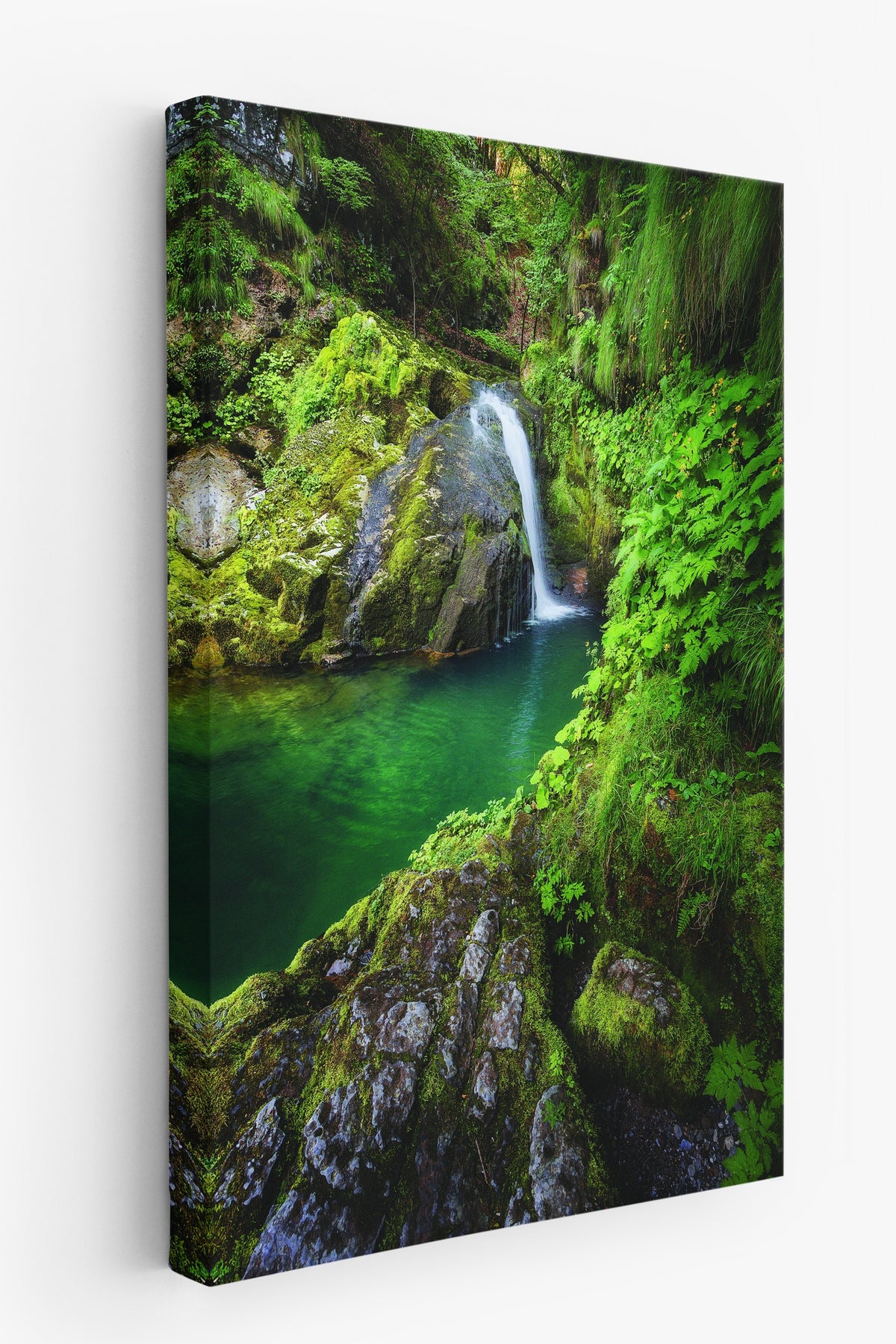 Doğal Şelale Manzarası Fotoğraf Kanvas Tablo