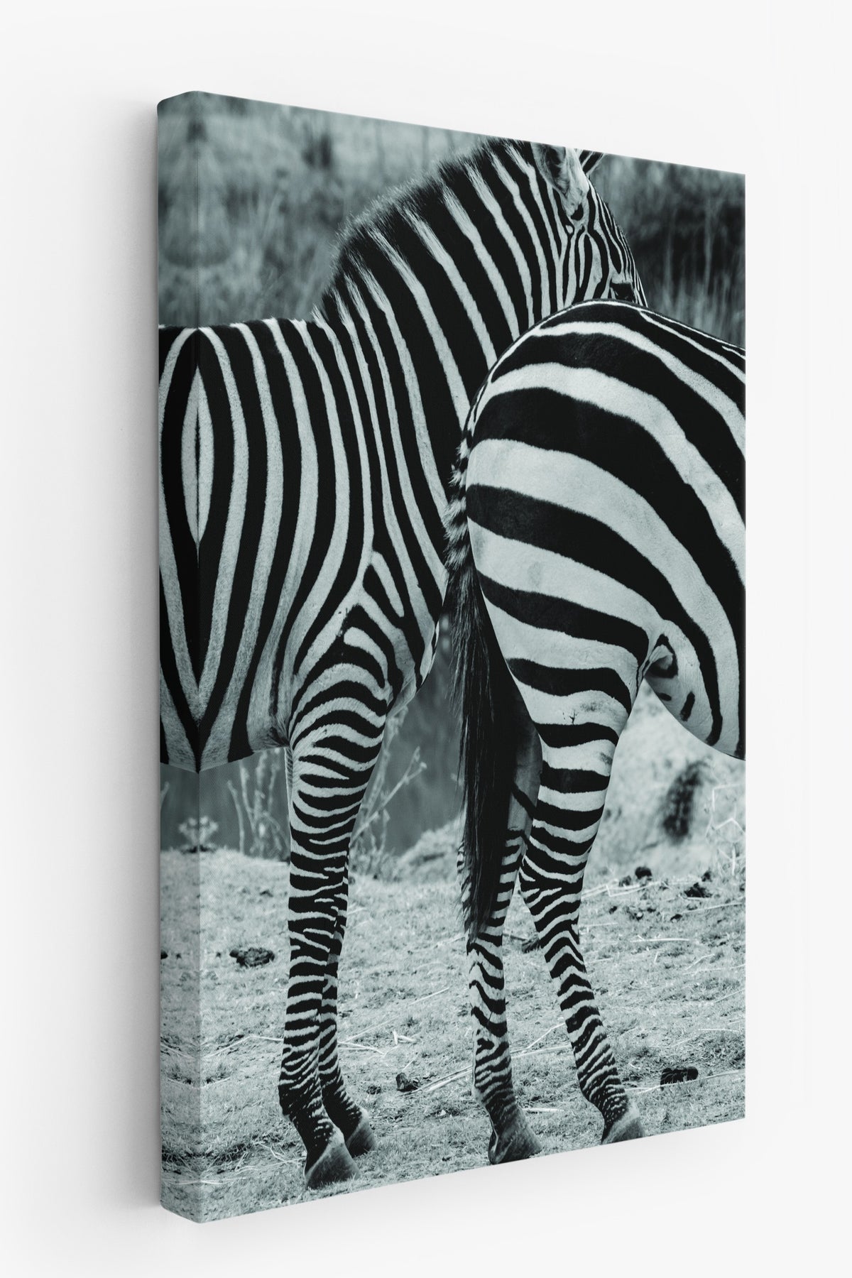 Zebra Deseni Fotoğraf Kanvas Tablo