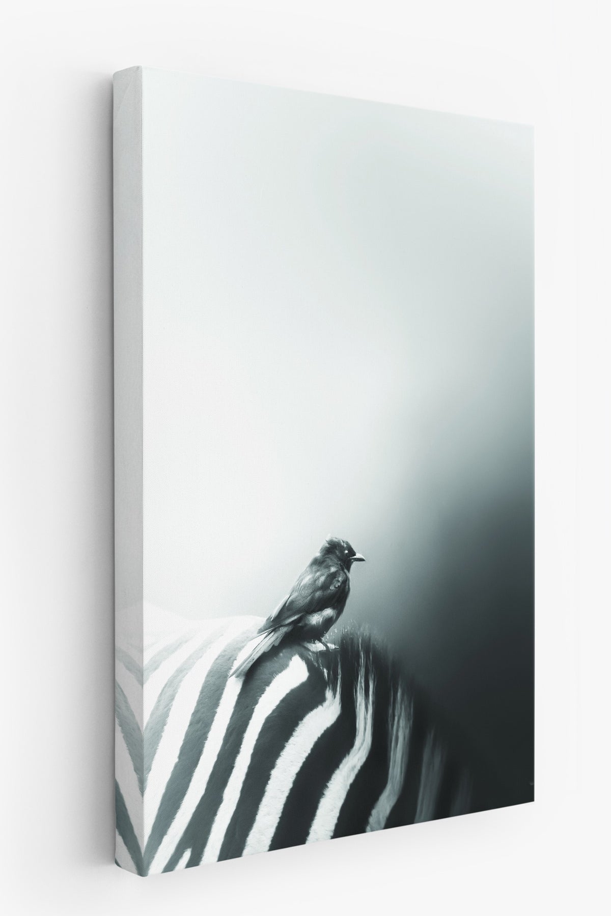 Zebra ve Kuş Fotoğraf Kanvas Tablo