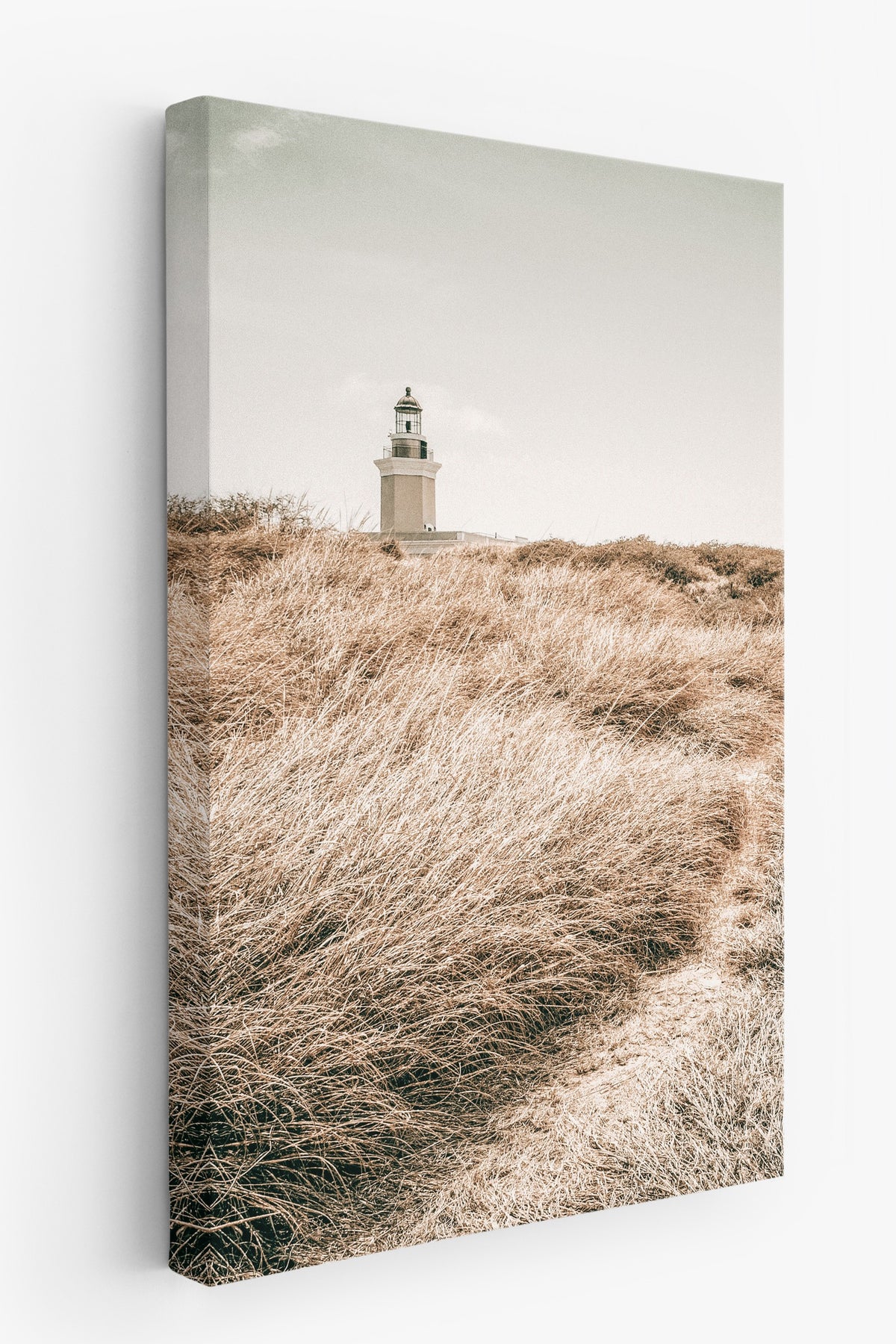 Deniz Feneri ve Sonbahar Otları Rustic Kanvas Tablo