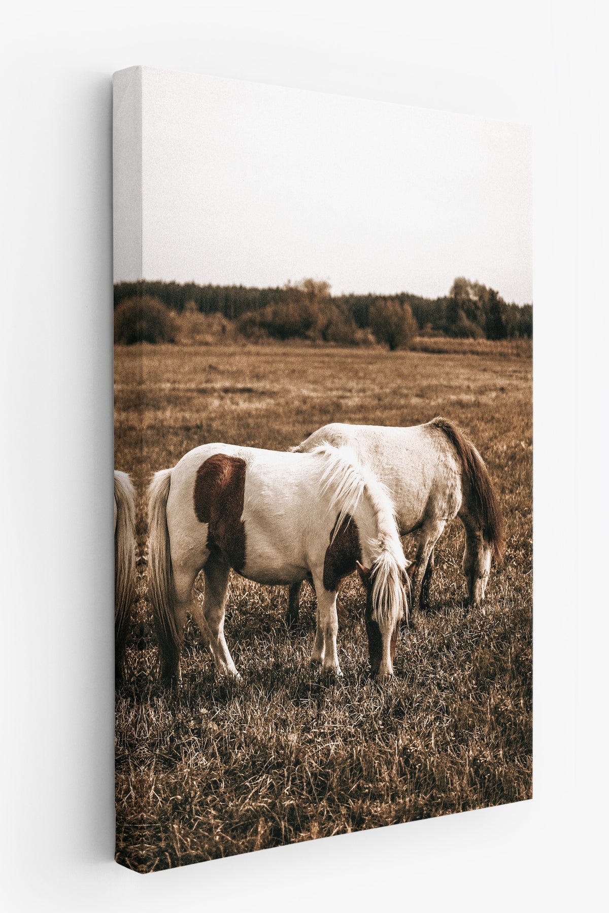 Kır Atlar Otlakta Rustic Kanvas Tablo
