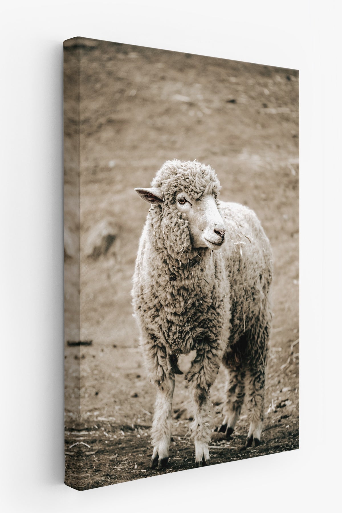 Koyun Manzarası Rustic Kanvas Tablo