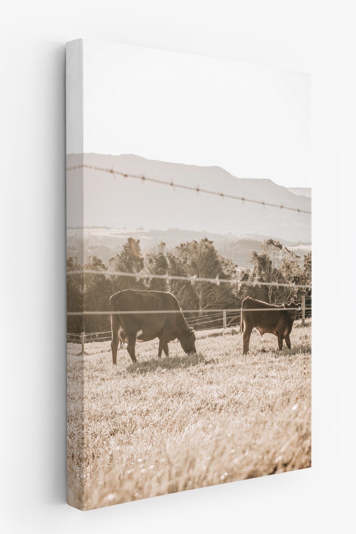 Otlakta İnekler Rustic Kanvas Tablo