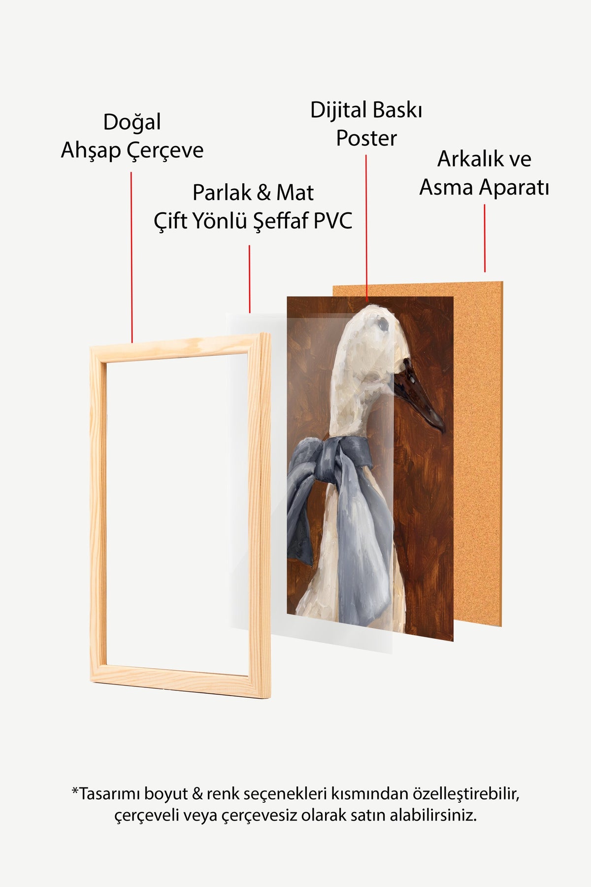Ördek Portresi Poster – Ahşap Çerçeveli Tablo