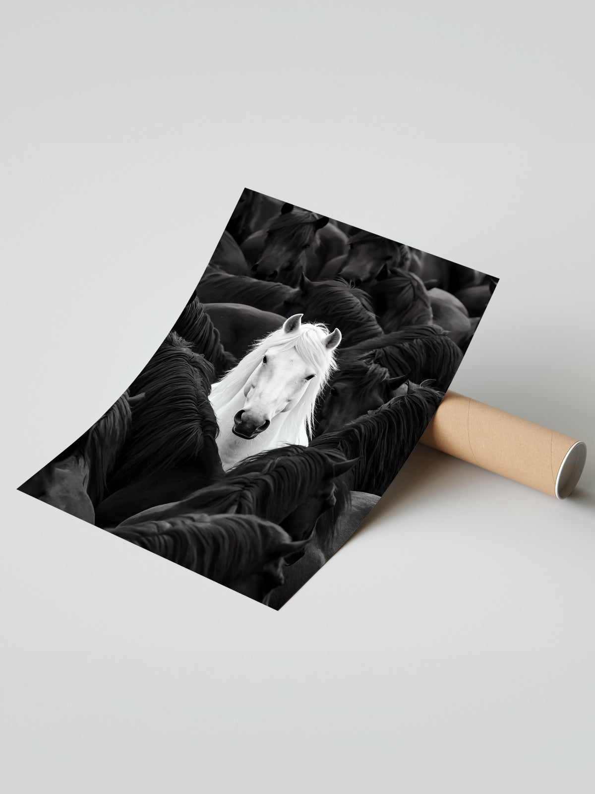 Farklı Renklerde Atlar Çerçevesiz Poster