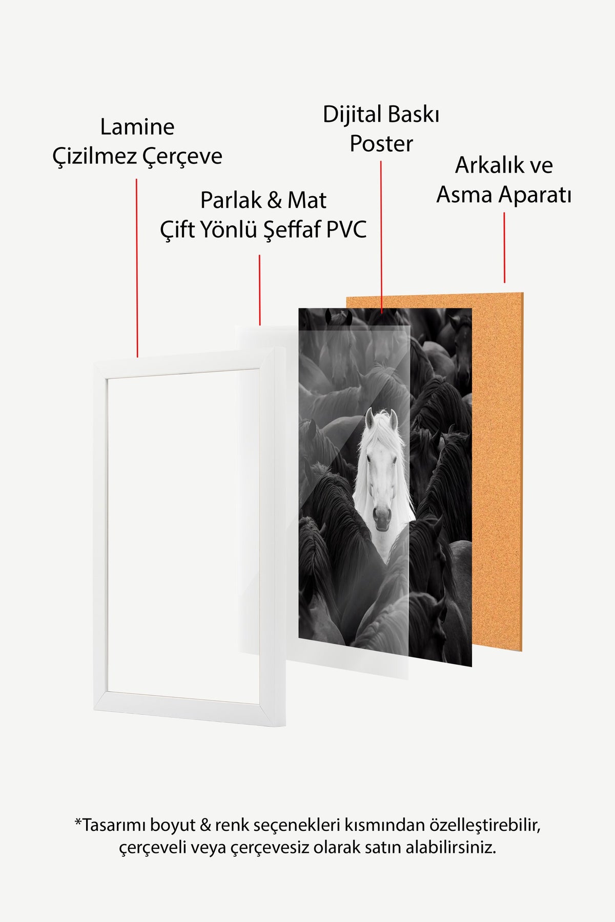 Farklı Renklerde Atlar Poster – Beyaz Çerçeveli Tablo