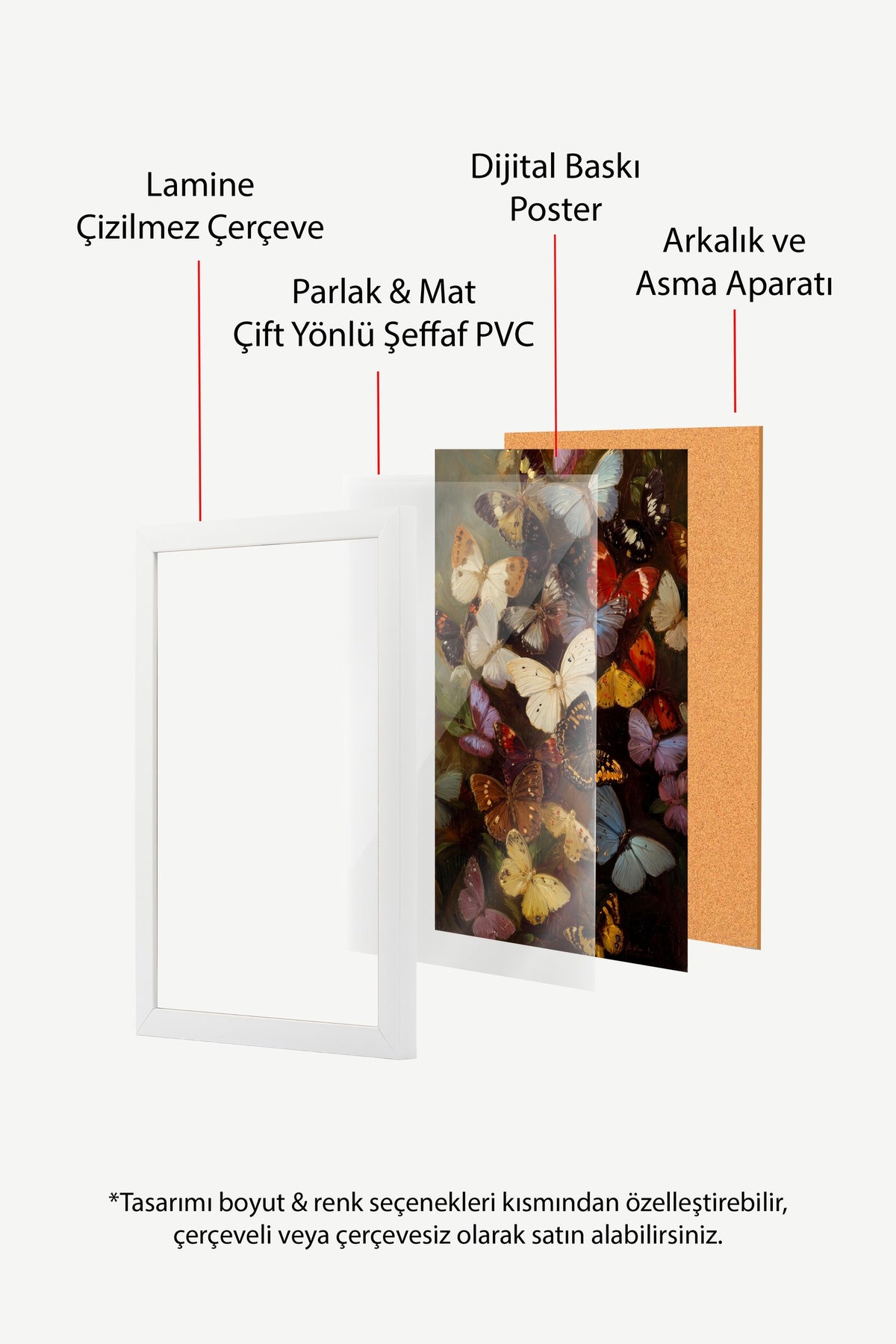 Renkli Kelebekler Poster – Beyaz Çerçeveli Tablo