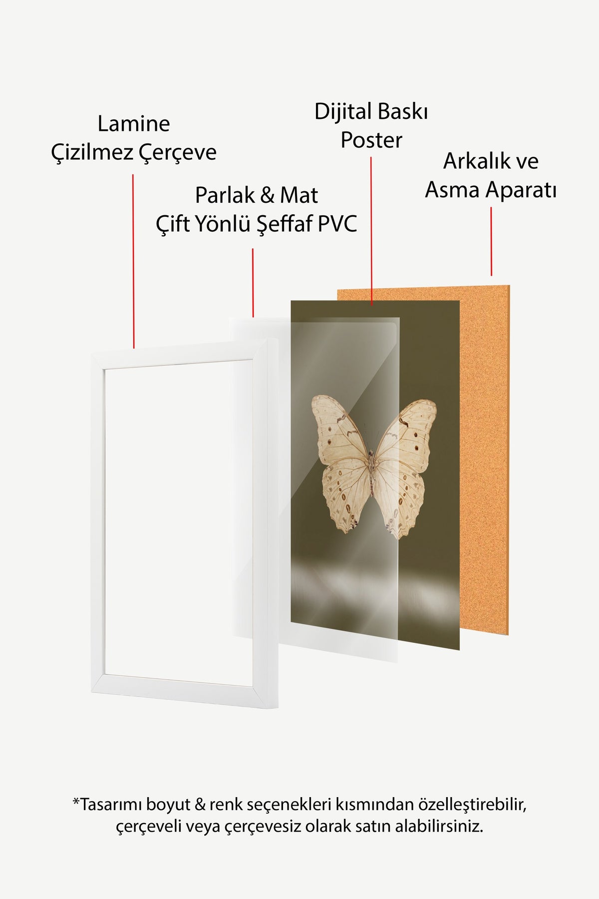 Krem Rengi Kelebek Poster – Beyaz Çerçeveli Tablo