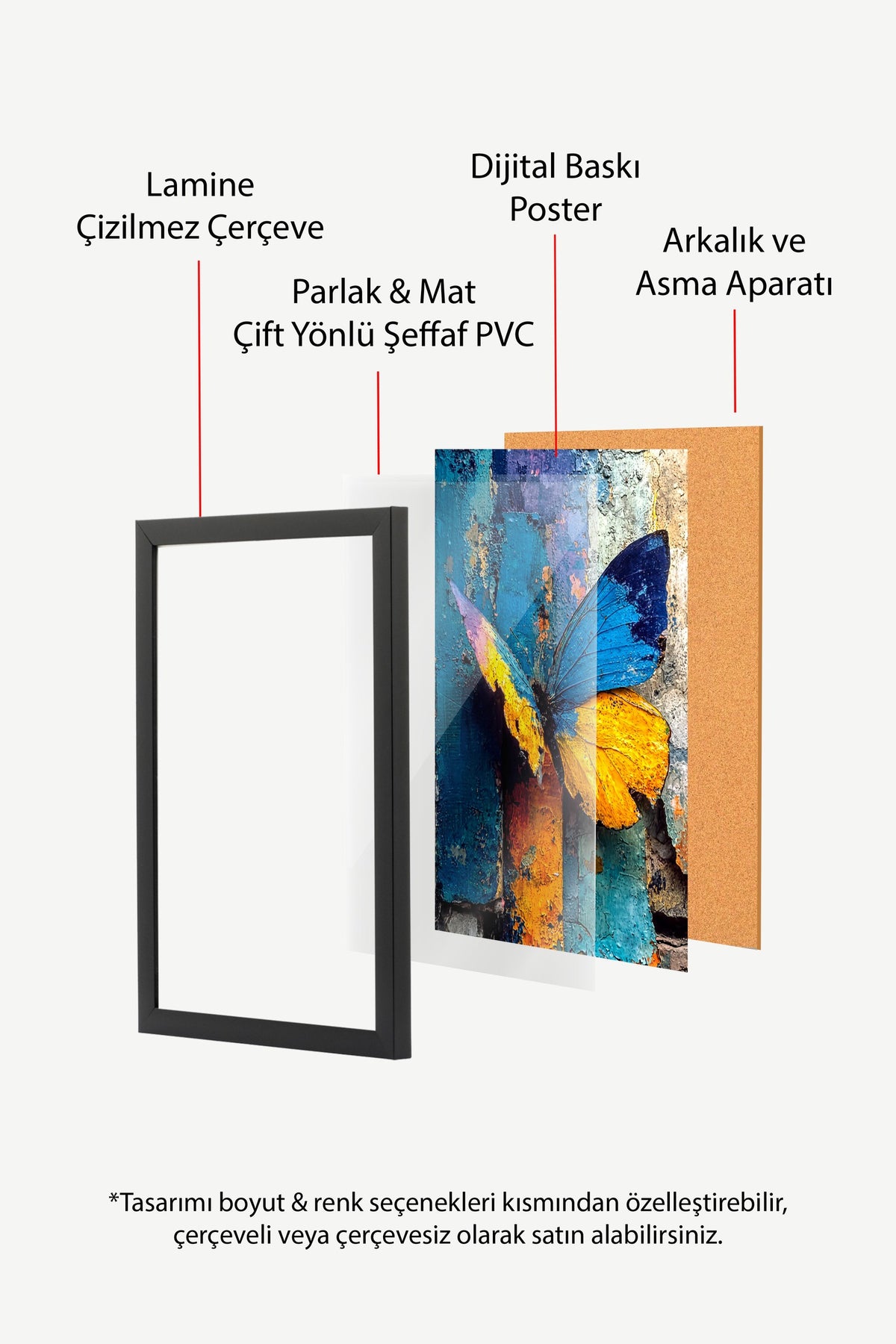 Renkli Kelebek Poster – Siyah Çerçeveli Tablo