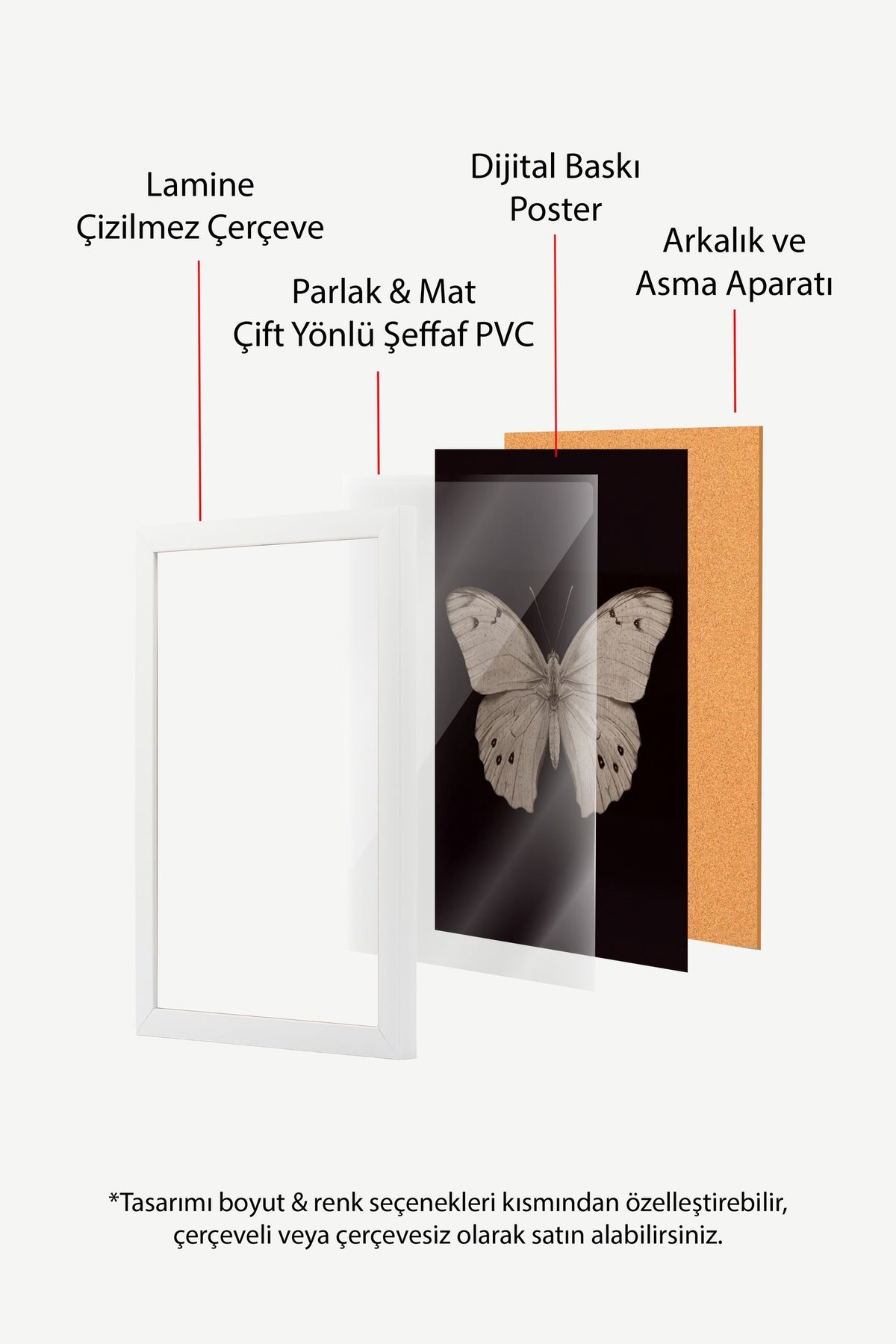 Kelebek Çizimi Poster – Beyaz Çerçeveli Tablo