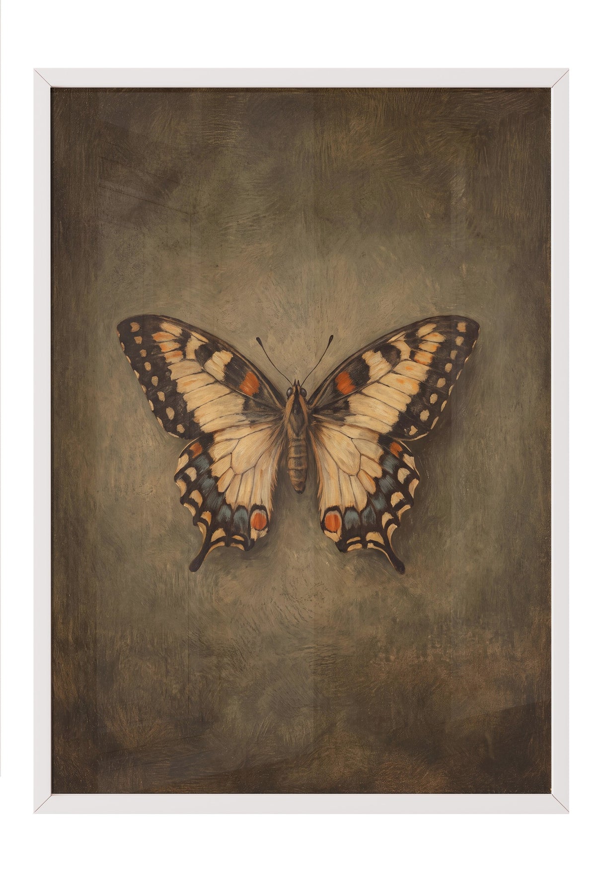 Kelebek Tasviri Poster – Beyaz Çerçeveli Tablo