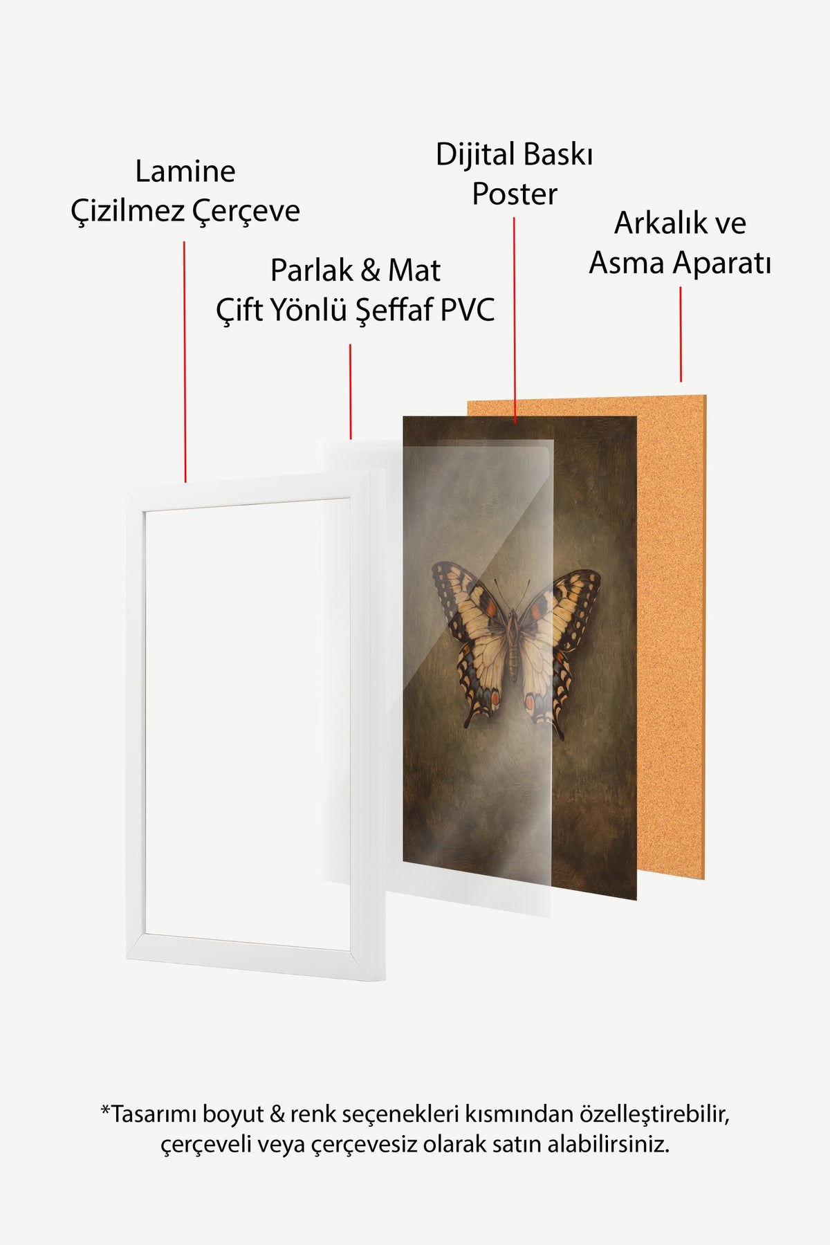 Kelebek Tasviri Poster – Beyaz Çerçeveli Tablo
