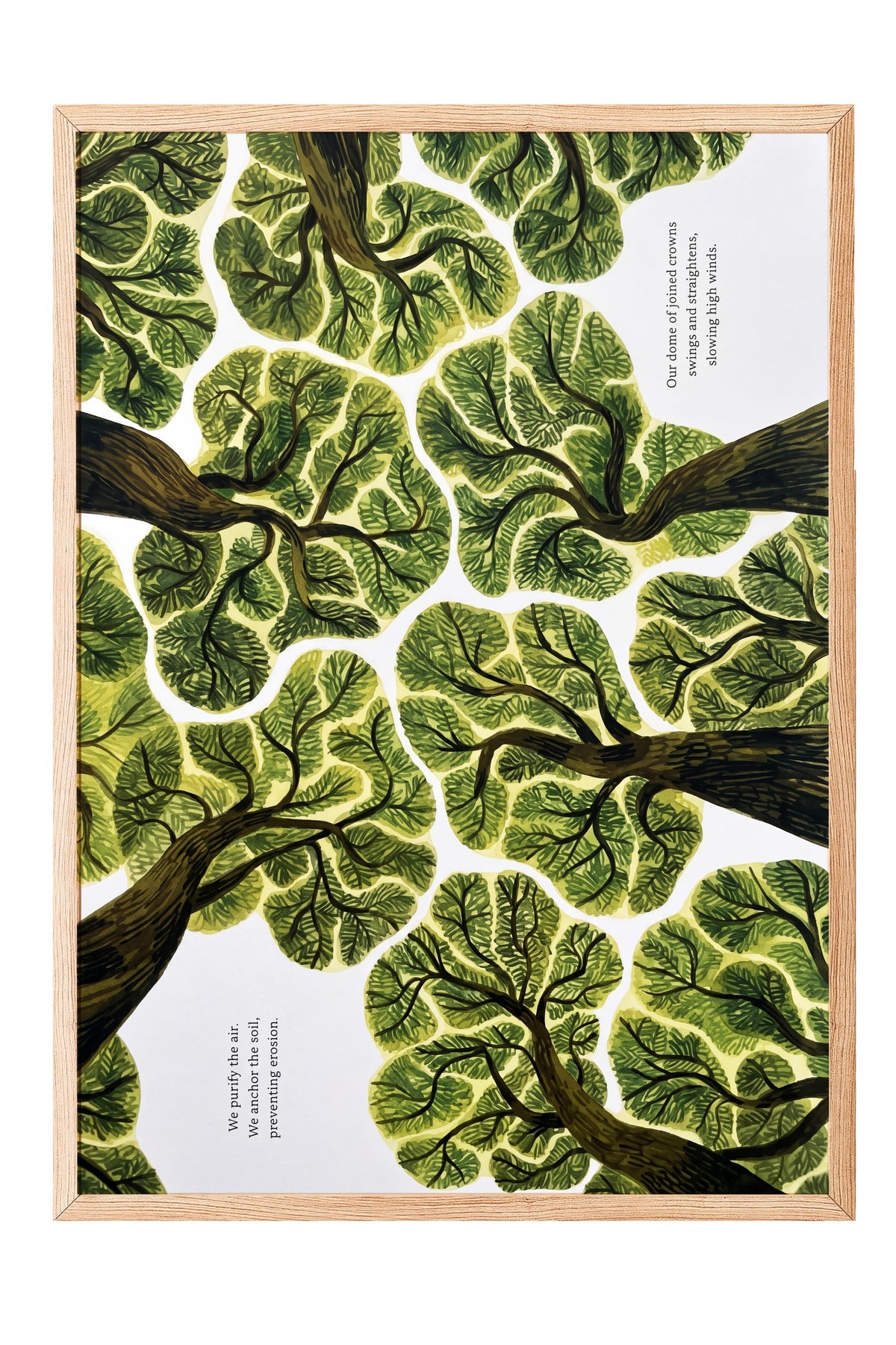 We purify the air. We anchor the soil, preventing erosion. Poster – Ahşap Çerçeveli Tablo