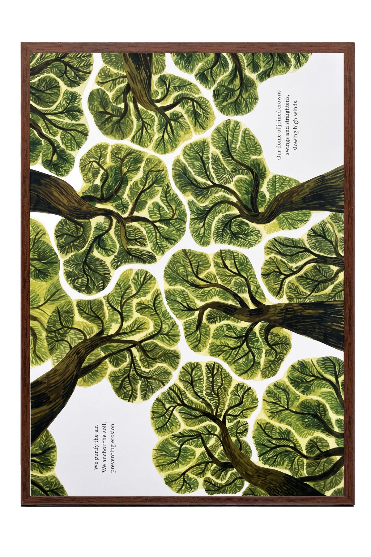 We purify the air. We anchor the soil, preventing erosion. Poster – Kahverengi Çerçeveli Tablo