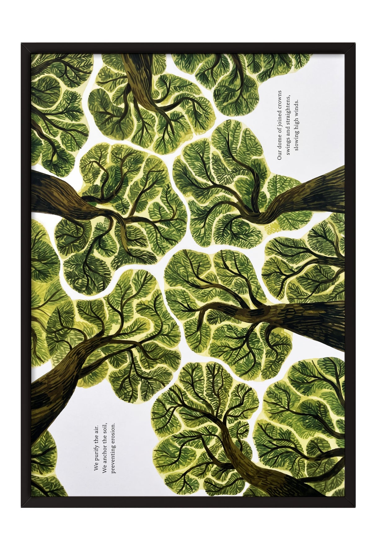 We purify the air. We anchor the soil, preventing erosion. Poster – Siyah Çerçeveli Tablo