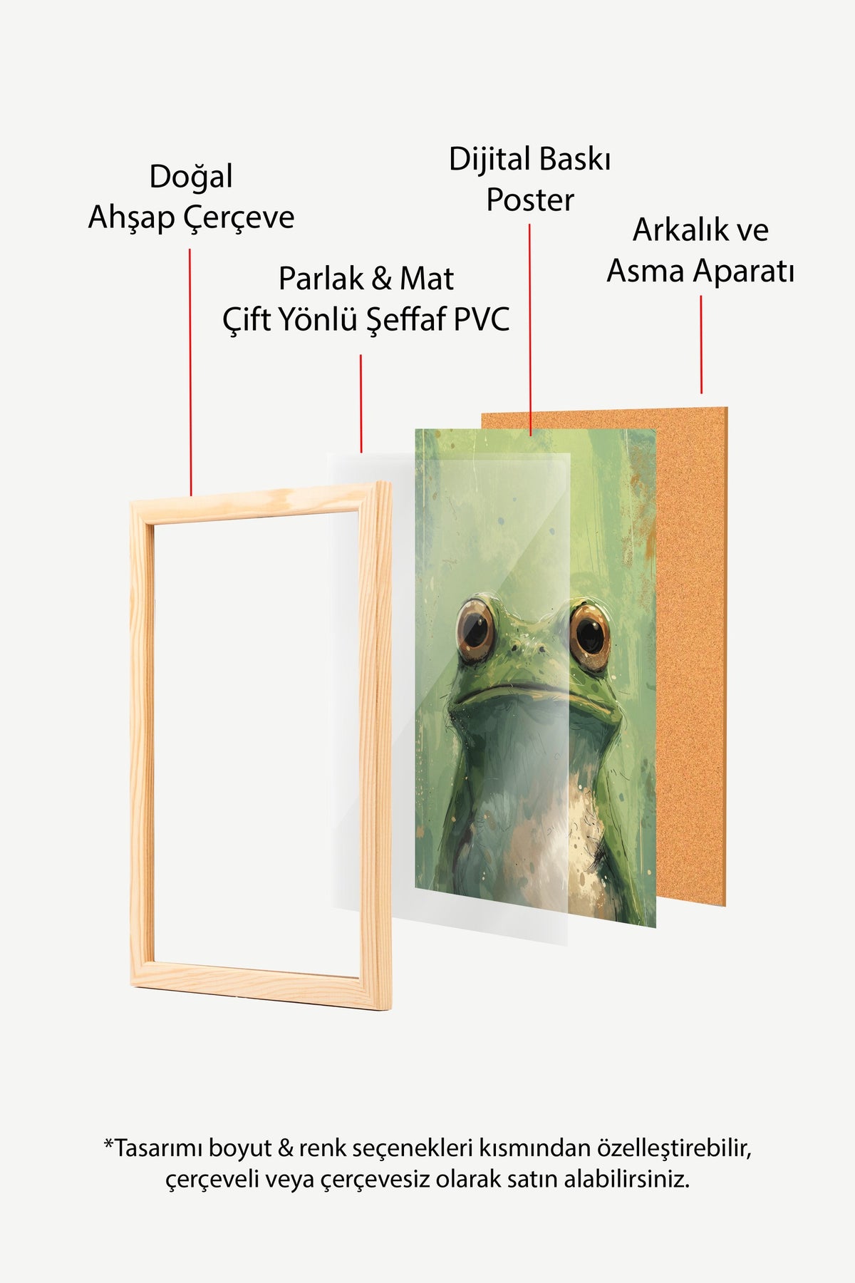 Kurbağa Portresi Poster – Ahşap Çerçeveli Tablo