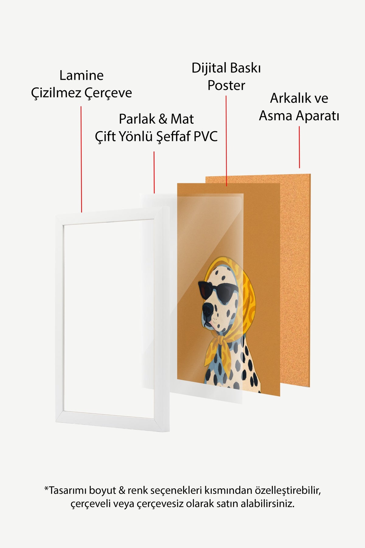 Dalmaçyalı köpek Poster – Beyaz Çerçeveli Tablo