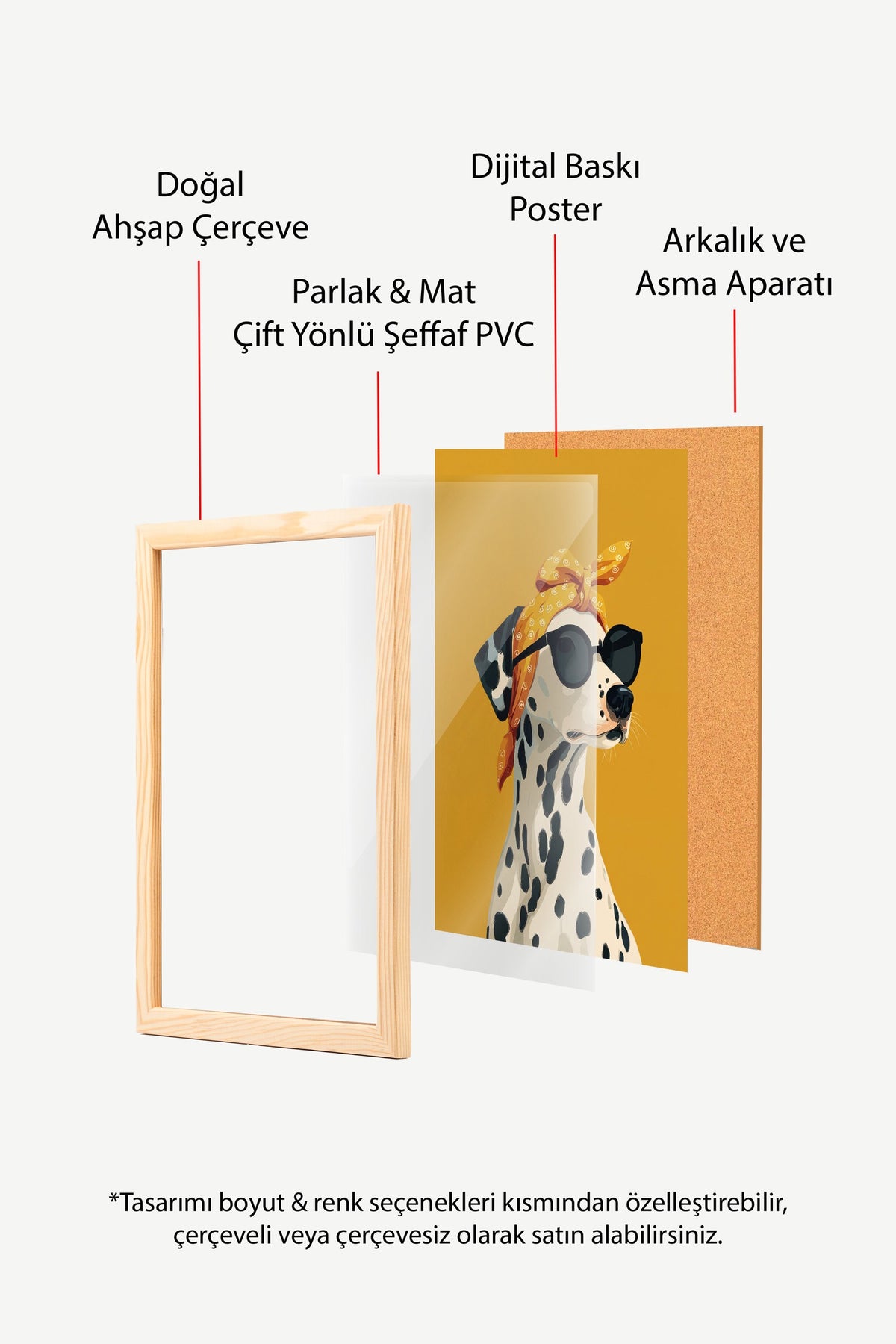 Dalmaçyalı Şıklığı Poster – Ahşap Çerçeveli Tablo
