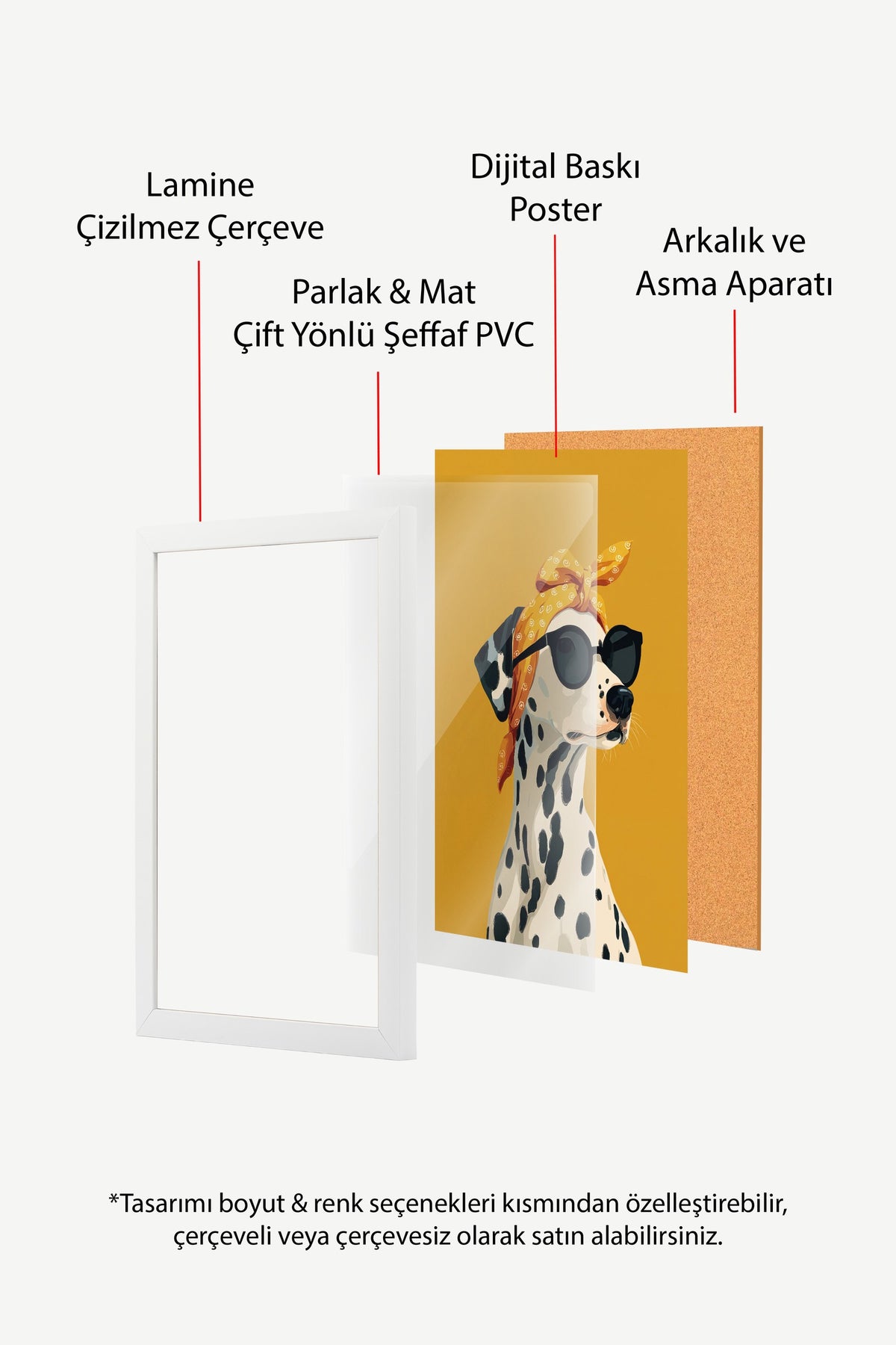 Dalmaçyalı Şıklığı Poster – Beyaz Çerçeveli Tablo