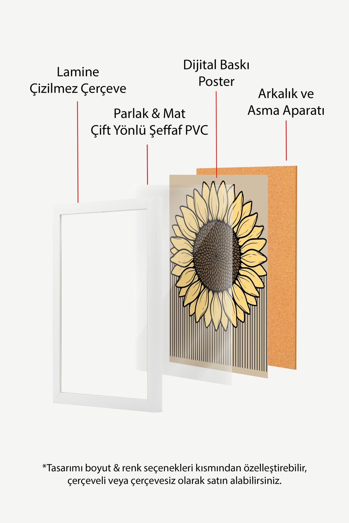 Çizgili Ayçiçeği İllüstrasyonu Poster – Beyaz Çerçeveli Tablo