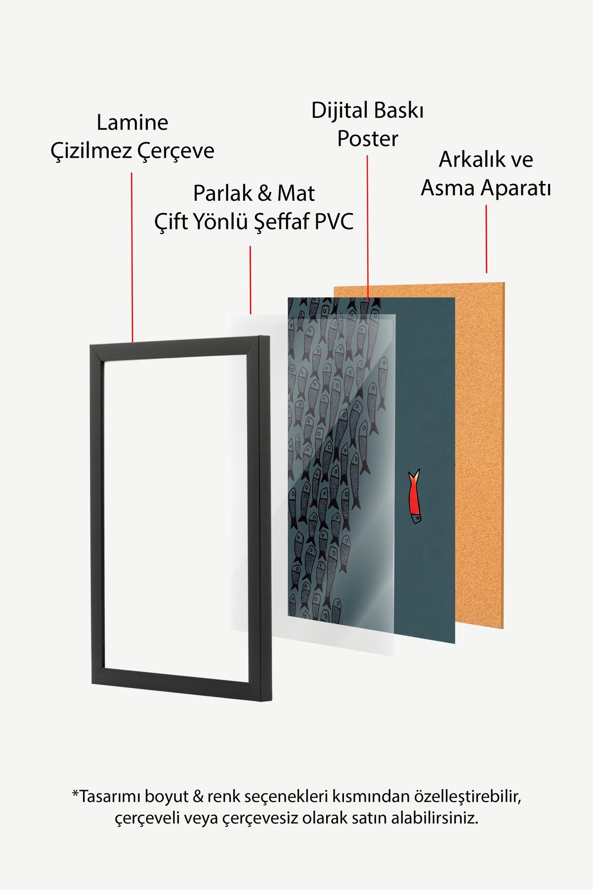Farklı Renkli Balık İllüstrasyonu Poster – Siyah Çerçeveli Tablo