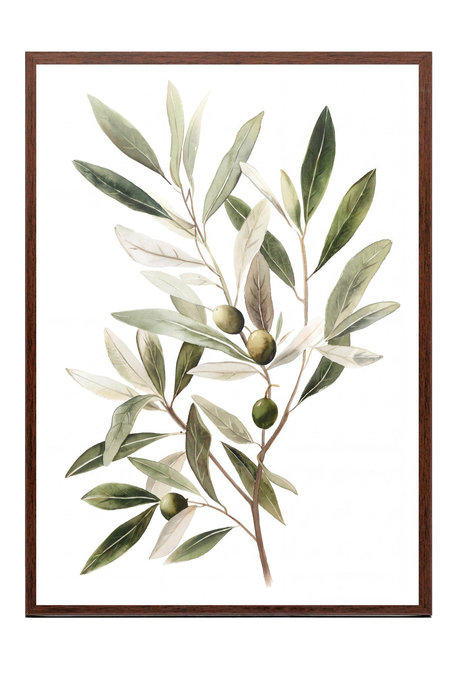 Suluboya Zeytin Dalı Poster – Kahverengi Çerçeveli Tablo