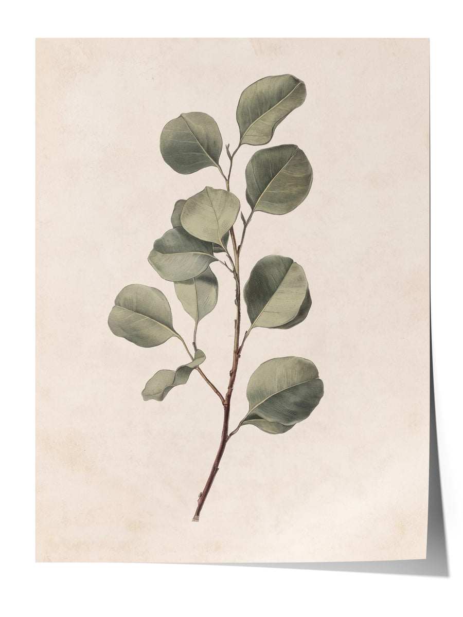Minimalist Yaprak İllüstrasyonu Çerçevesiz Poster