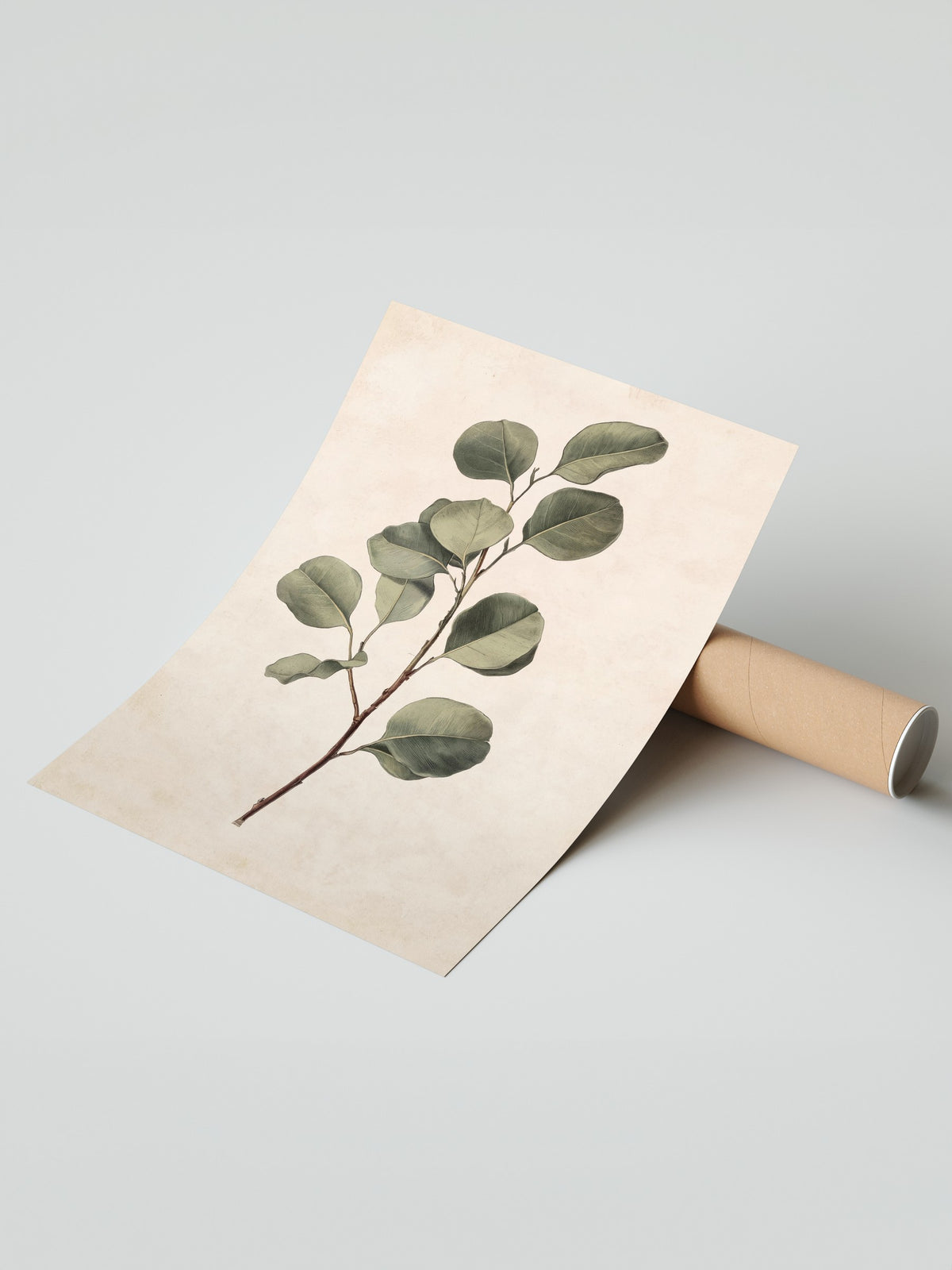 Minimalist Yaprak İllüstrasyonu Çerçevesiz Poster