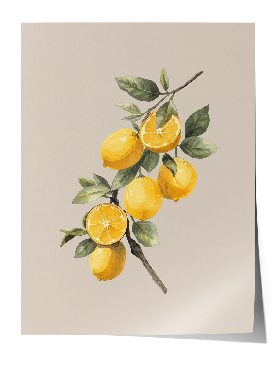Limon Dalı Suluboya Çerçevesiz Poster