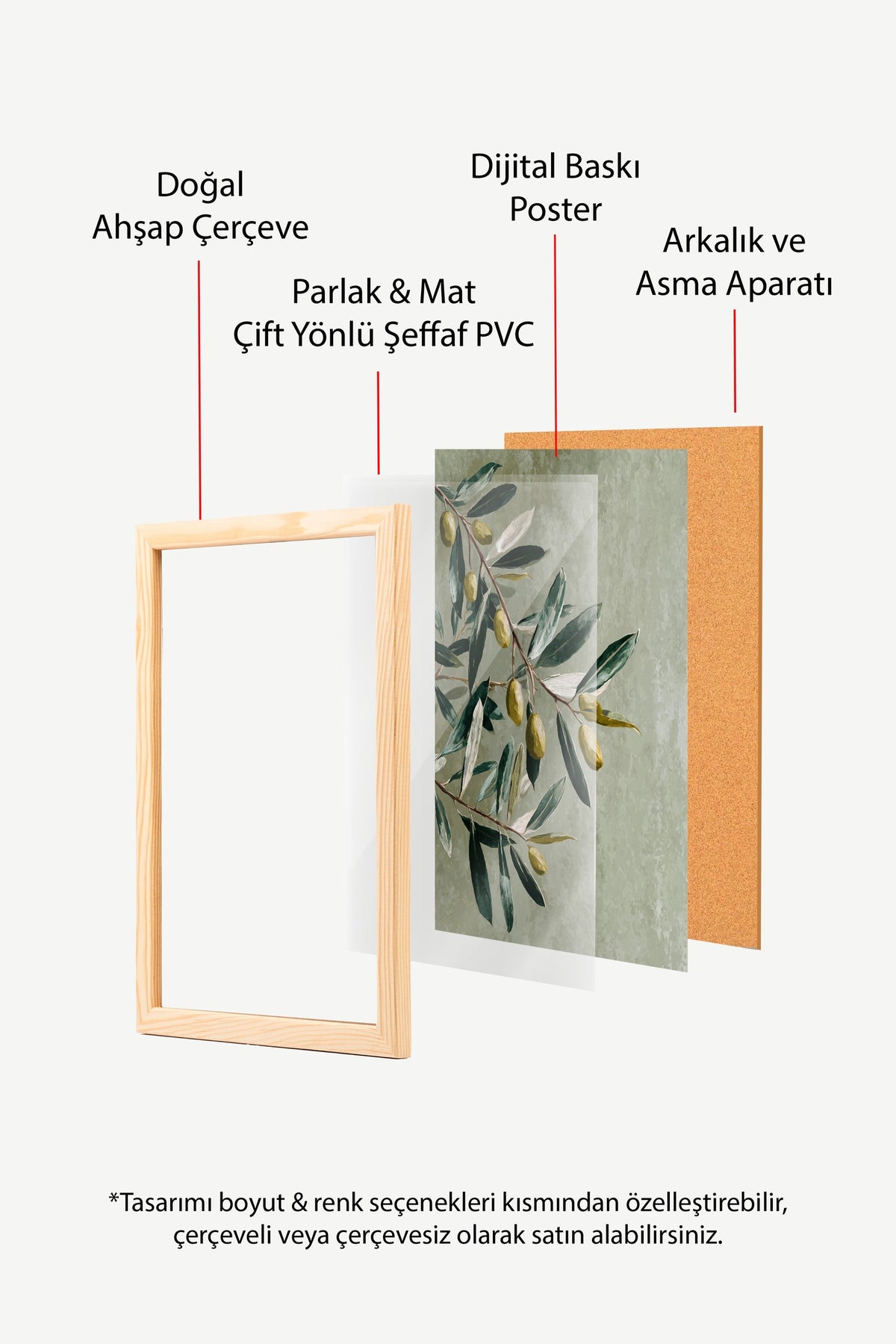 Zeytin Dalı İllüstrasyonu Poster – Ahşap Çerçeveli Tablo