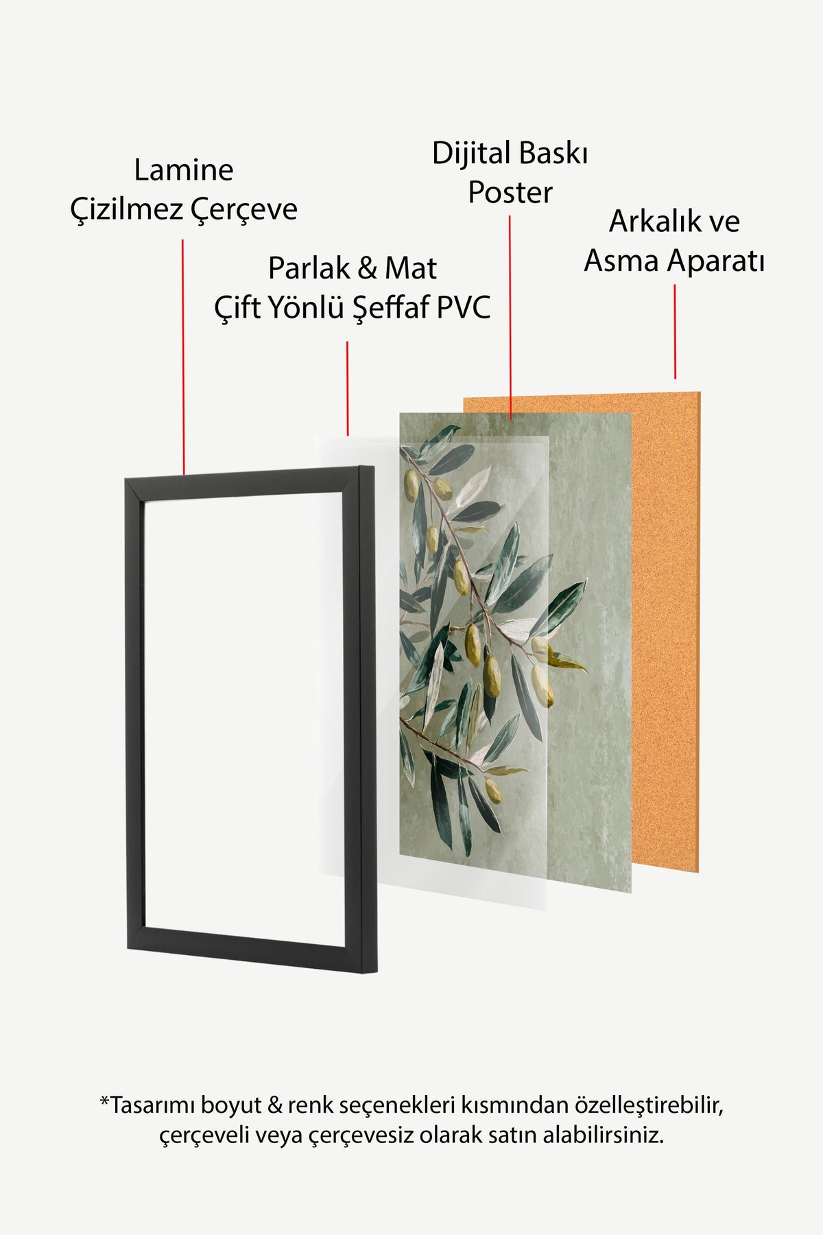 Zeytin Dalı İllüstrasyonu Poster – Siyah Çerçeveli Tablo