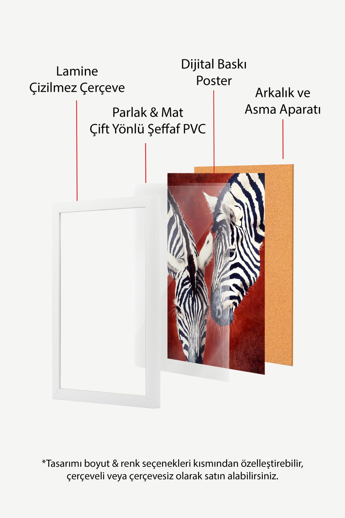 Etkileşim Halinde İki Zebra Poster – Beyaz Çerçeveli Tablo