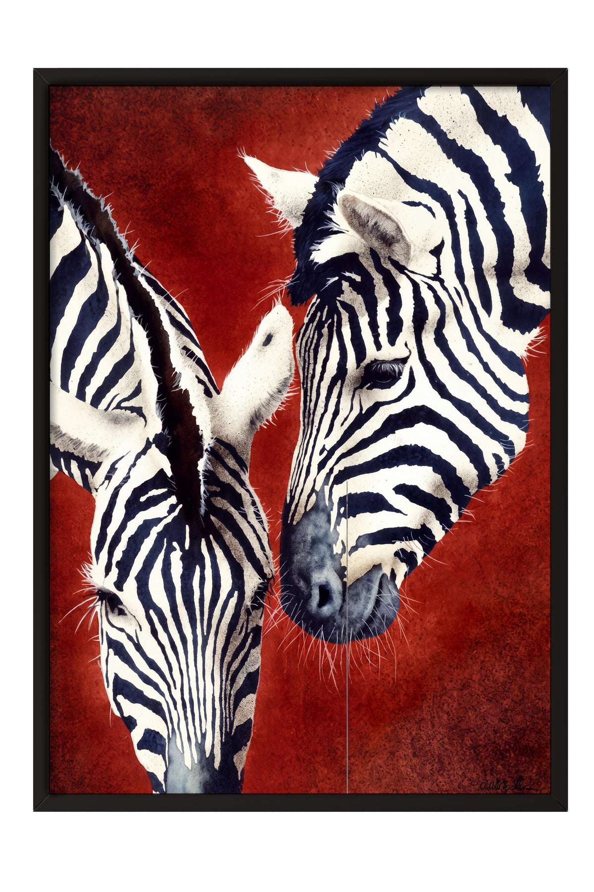 Etkileşim Halinde İki Zebra Poster – Siyah Çerçeveli Tablo