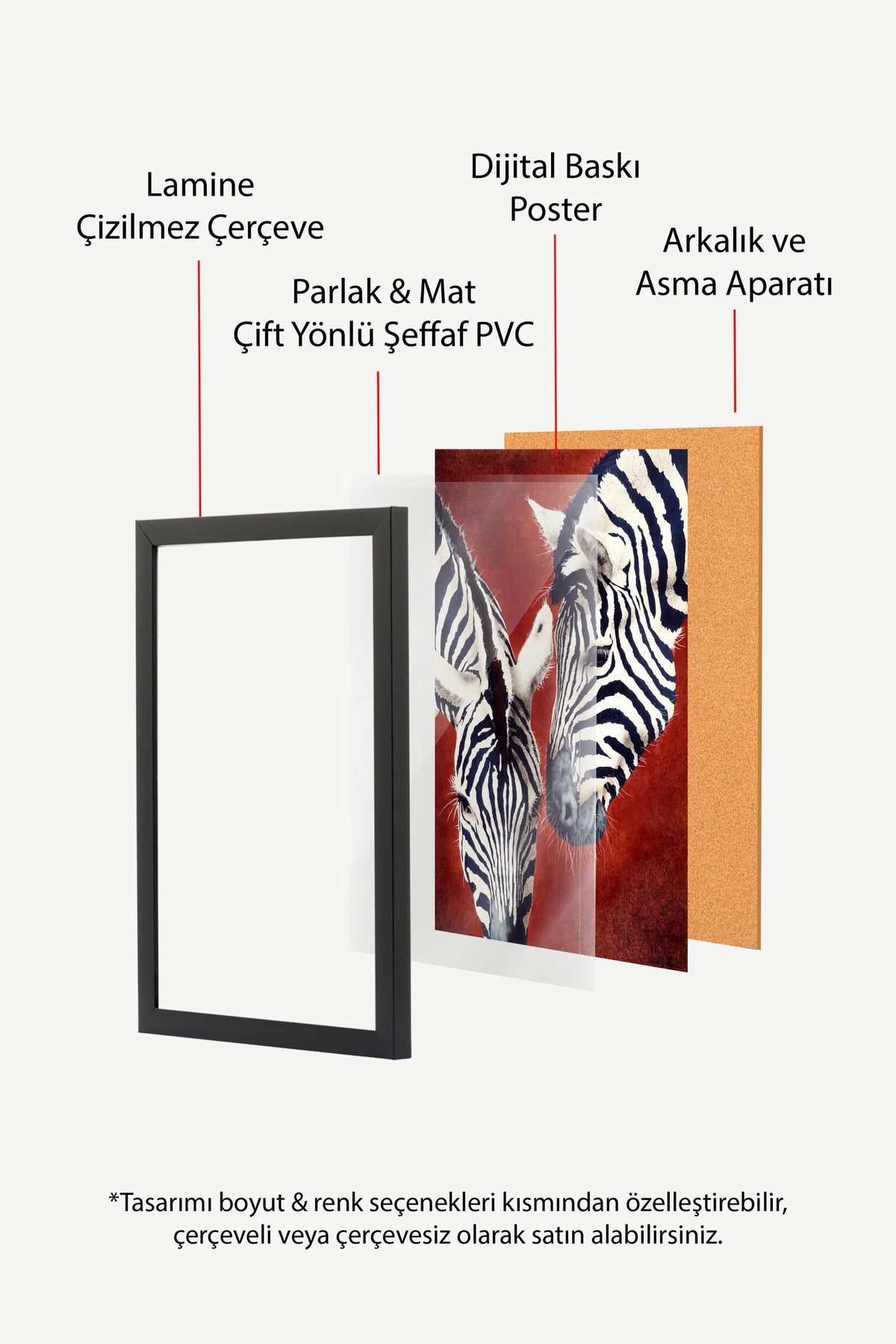 Etkileşim Halinde İki Zebra Poster – Siyah Çerçeveli Tablo