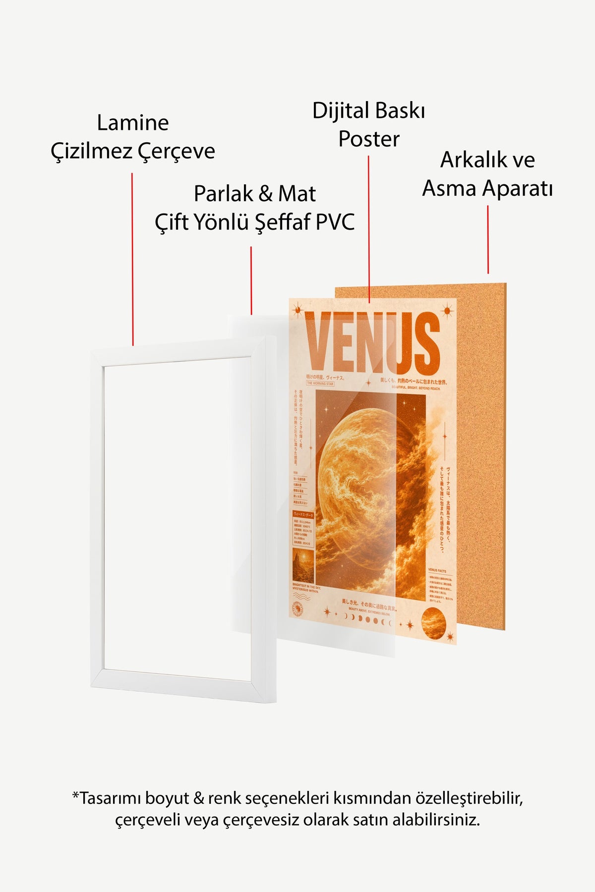VENUS Poster – Beyaz Çerçeveli Tablo