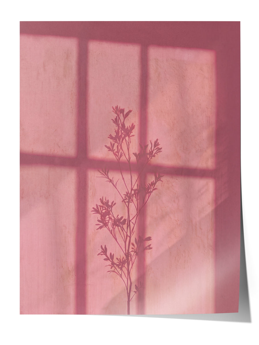 Pembe Gölgedeki Bitki Silüeti Çerçevesiz Poster