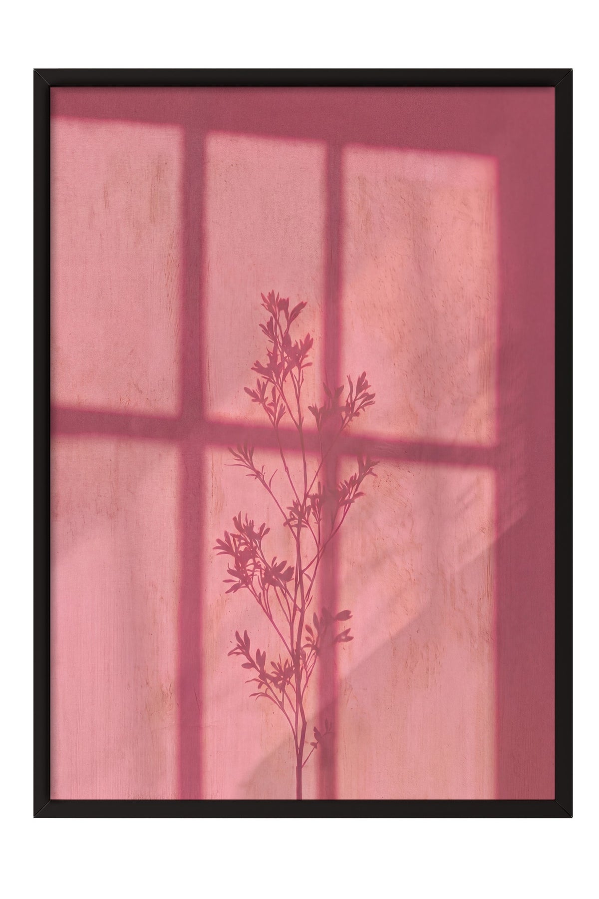 Pembe Gölgedeki Bitki Silüeti Poster – Siyah Çerçeveli Tablo