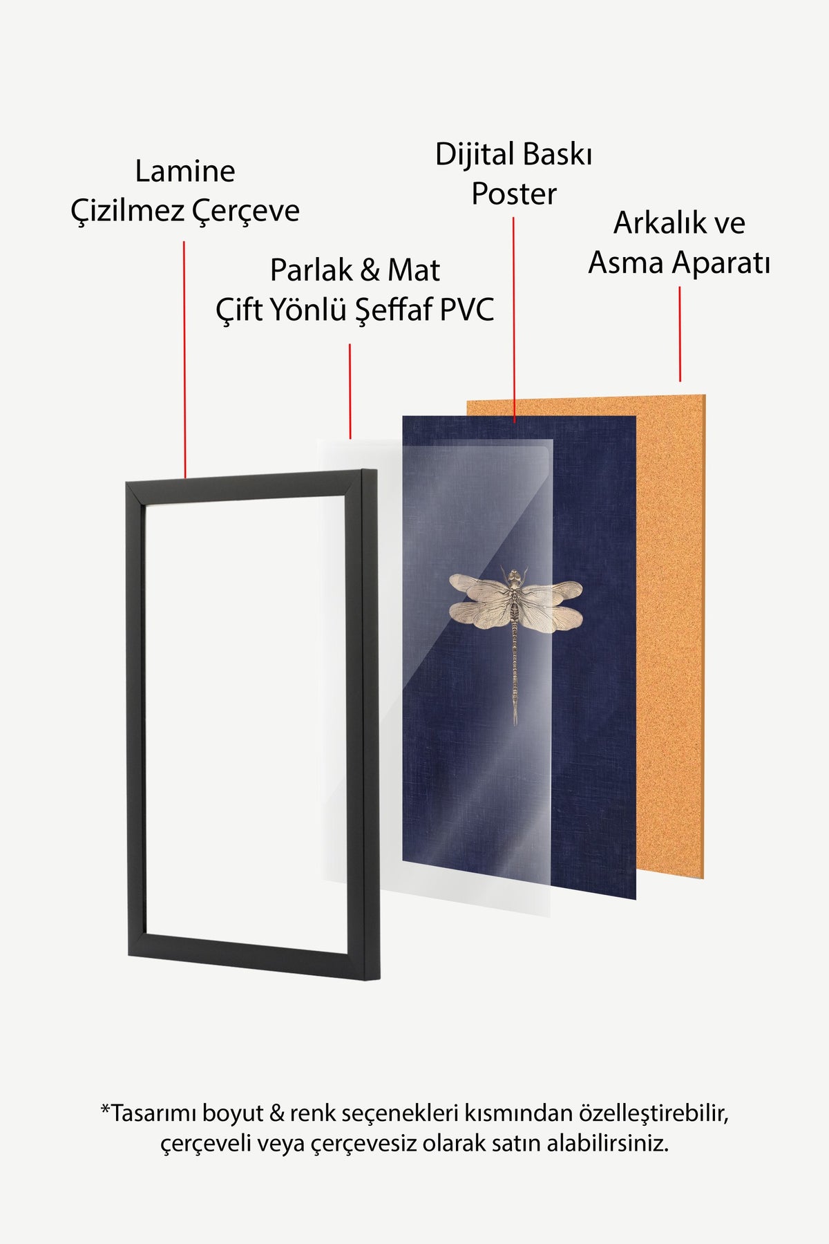 Mavi Üzerinde Yusufçuk Poster – Siyah Çerçeveli Tablo