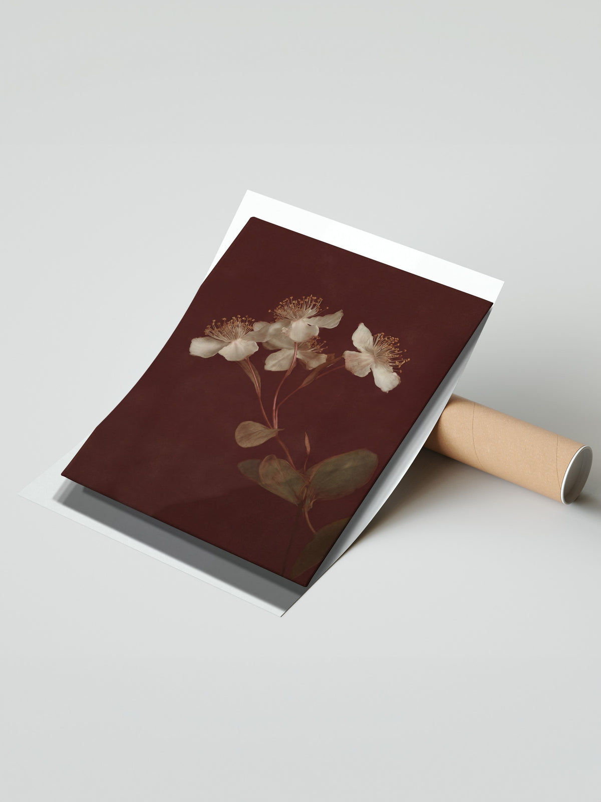Koyu Fon Üzerinde Çiçekler Çerçevesiz Poster