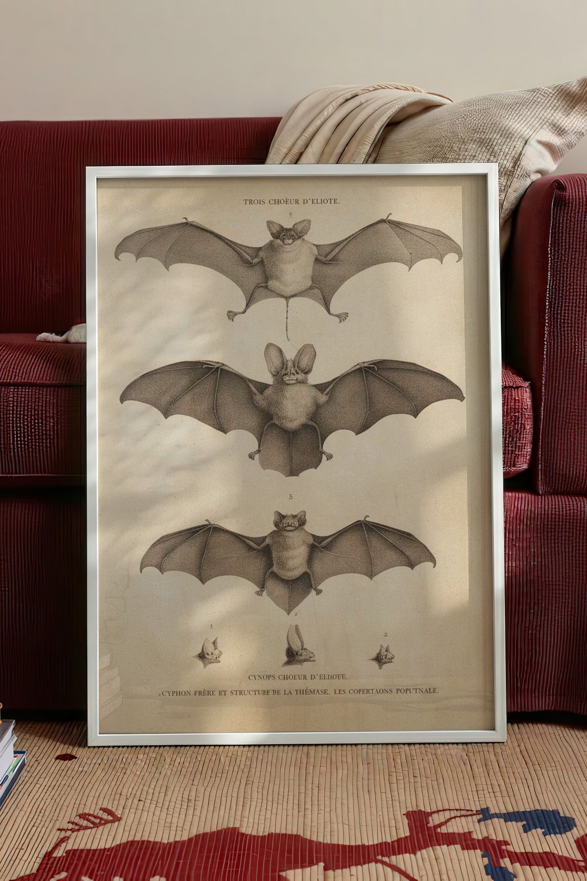 Vintage Yarasa İlüstrasyonu Baskısı Poster – Beyaz Çerçeveli Tablo